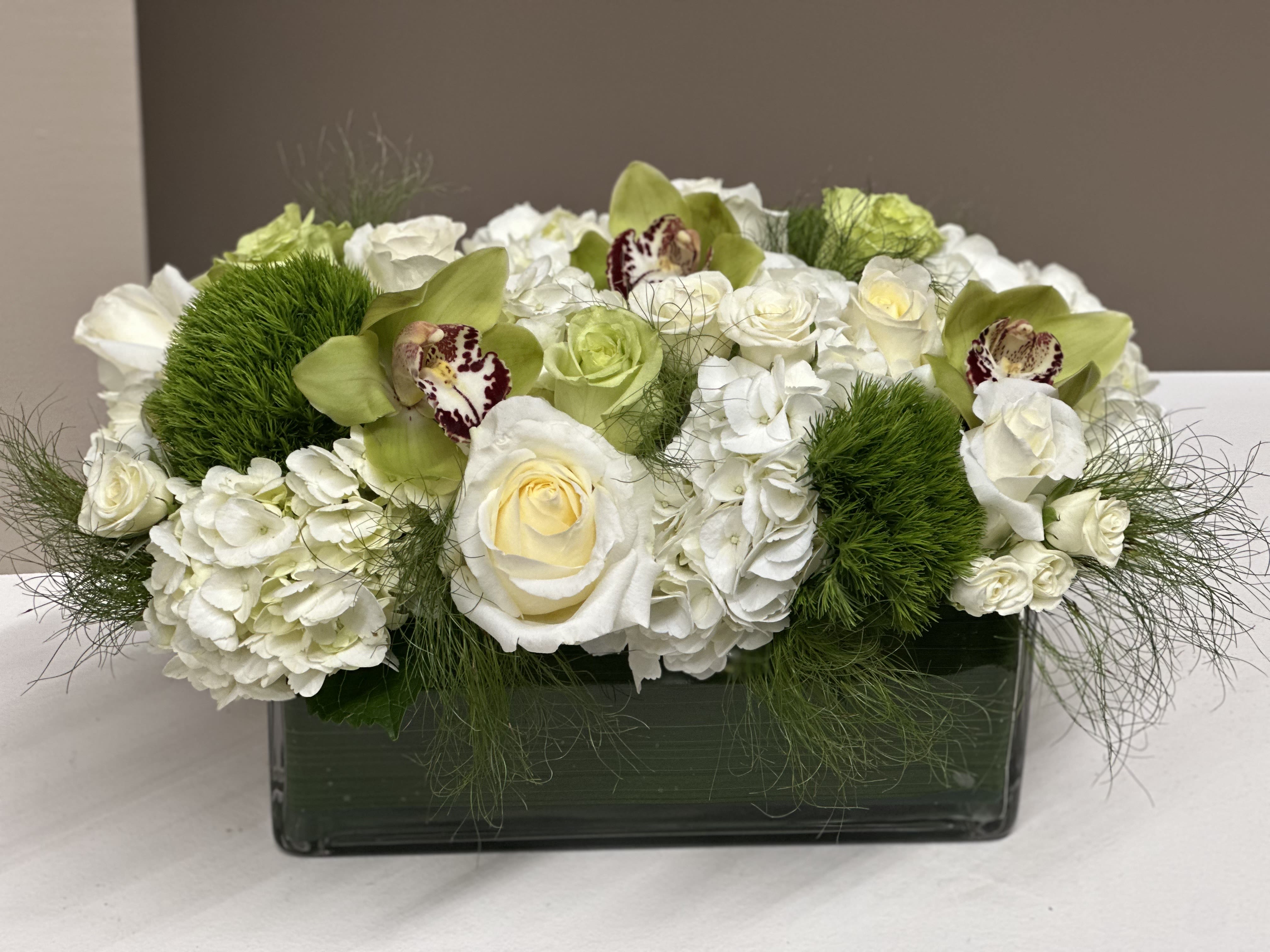 Holiday Harmony - A lush, contemporary arrangement designed in a sleek glass leaf-lined rectangle vase, overflowing with premium White blooms and vibrant Green accents. Roses in Cream and Lime, fluffy Hydrangea, and elegant Cymbidium Orchids create a refined, luxurious look, while textured green Dianthus and wisps of airy foliage add depth and movement.  Perfect for home décor, corporate settings, sympathy gestures, or any occasion that calls for clean, modern beauty with a touch of natural elegance.