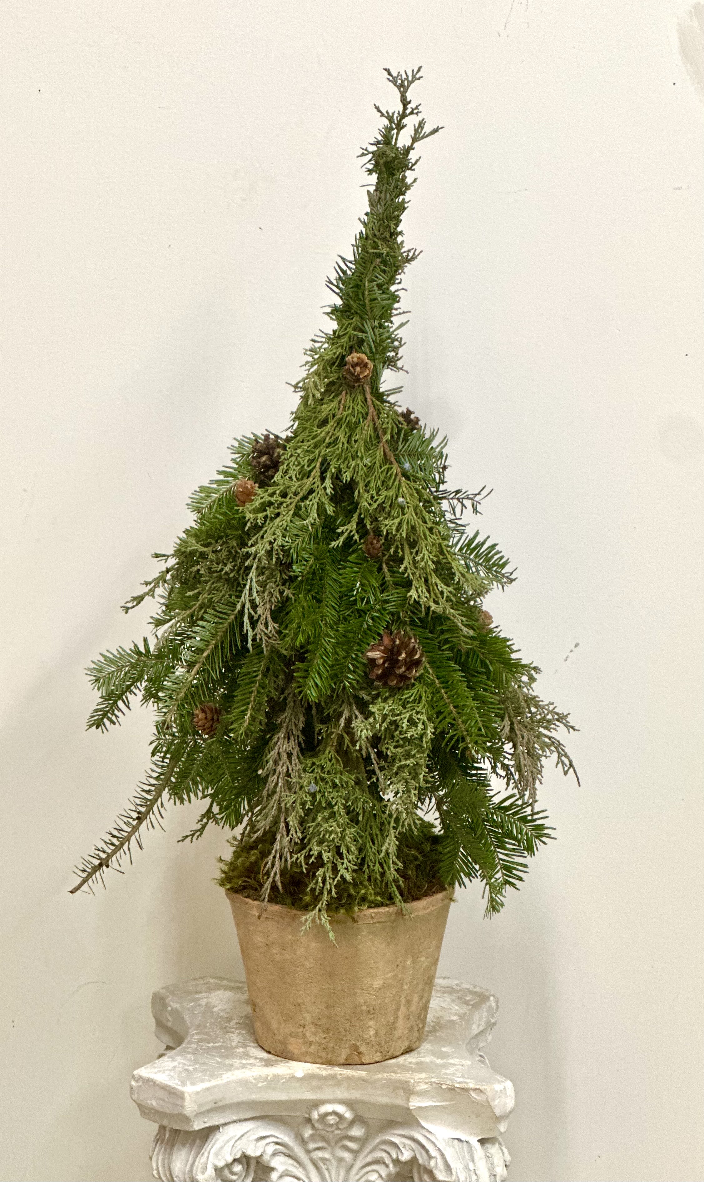 Holiday Evergreen Limited Collection by Westford Florist Art by Veny - Transform your space into a winter wonderland with the Holiday Evergreen Limited Collection by Westford Florist Art by Veny. Crafted by the visionary Venetka Arsenova, this limited-edition masterpiece is far more than just decor—it’s an experience. Picture lush natural evergreens nestled in a stylish ceramic pot, delicately adorned with real pinecones that evoke the charm of snowy mornings and festive gatherings. Perfect for adding a unique touch to your home or office holiday decorations, it also makes for an unforgettable gift that spreads warmth and cheer to those you cherish.Elevate your celebrations and let the spirit of the season flourish—all while indulging in artful elegance that speaks volumes. Grab yours before they’re gone; after all, beauty like this deserves to be shared!