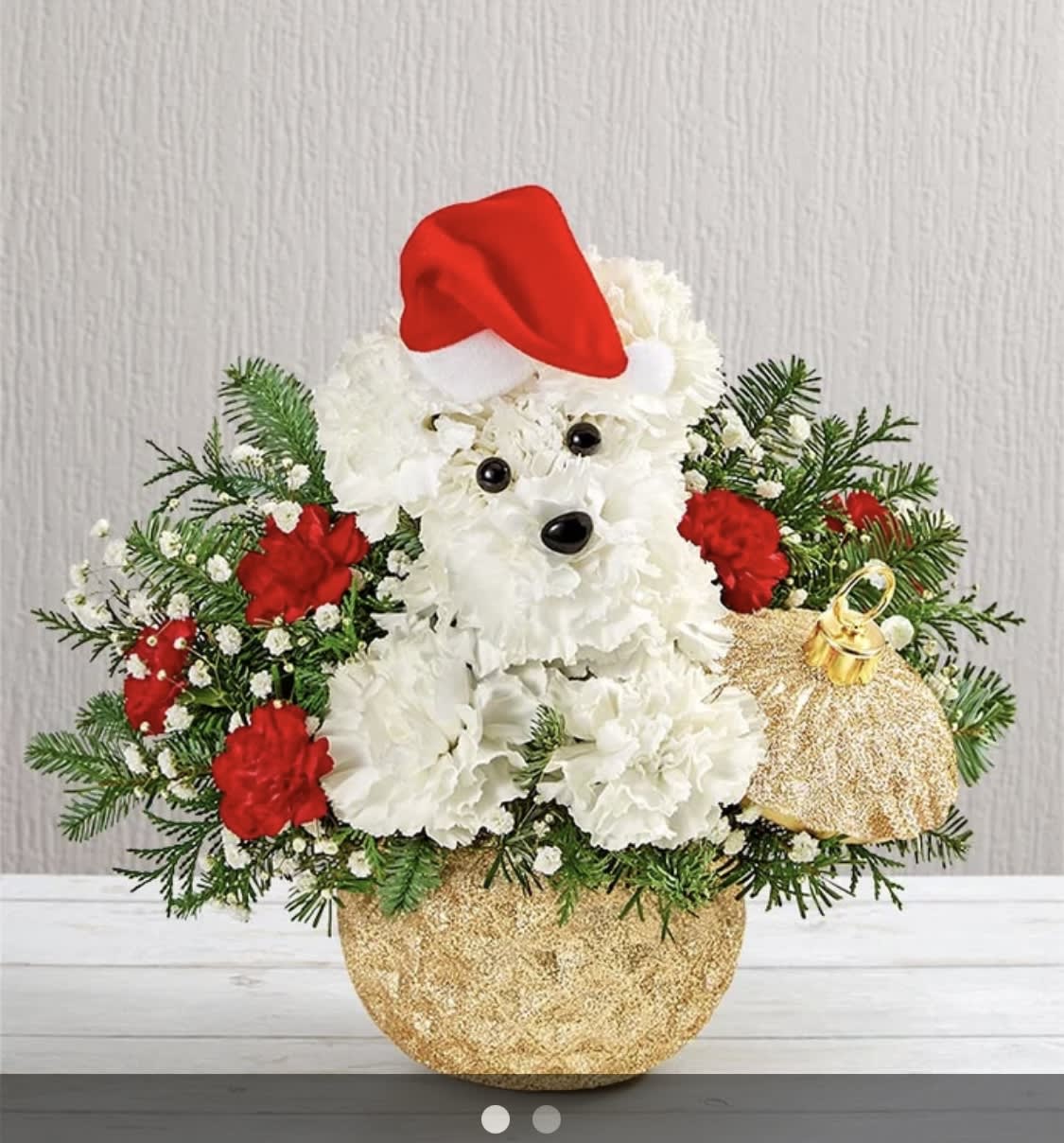 Doggie Santa Paws® - Description EXCLUSIVE Who’s that doggie delivering holiday magic? It’s our very own Santa Paws! Crafted from a merry mix of blooms and ornaments, he’s decked out in a festive Santa hat to unleash Christmas cheer on family and friends, perched in our Glittering Gold Holiday Ornament™ container. With its diamond-embossed design, lavish gold glitter and matching lid, it’s a luxurious keepsake they’ll treasure for years to come.