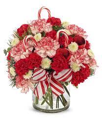 Carnations, poms, festive - Wow, simply wow! The Christmas season is personified in all its wonder by this amazingly bright and creative bouquet that's perfect for holiday giving and for decorating any home. Candy canes and a red striped ribbon complement a peppermint-toned arrangement of carnations and button poms.