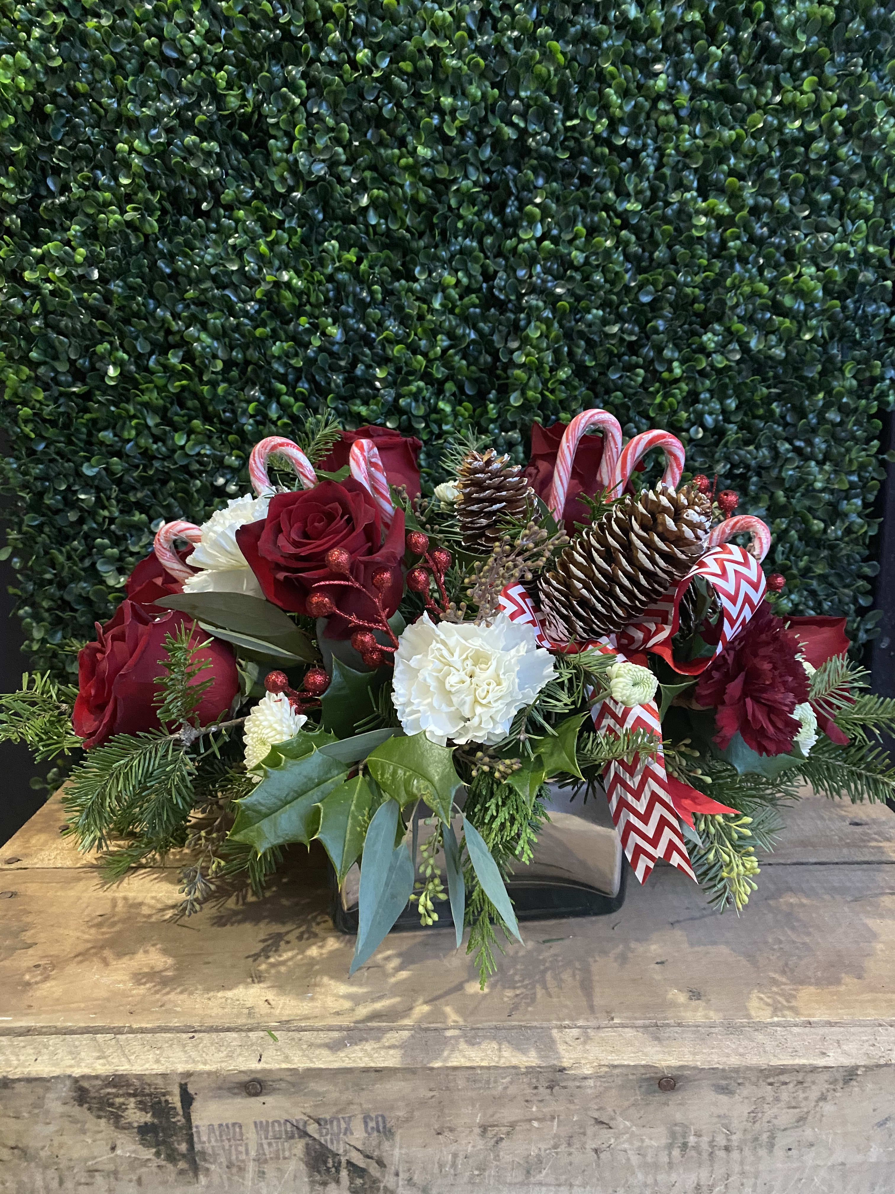 Candy cane - roses, carnation, button mums, pine cones, decorative berries, candy cane and winter pine leaves in a decorative vase.  Delivery minimum is $50.00 Our DELIVERY SERVICE IS TILL 3 PM We cannot guarantee requests for a specific time of delivery. There might be flower substitutions, due to low supply of certain flowers. However, we do our best to provide you with the same look and feel of the arrangement. Our main goal is to always give our customers quality flowers and service. To make sure that you get the exact same flowers, ordering a few days ahead of desired delivery date is key.