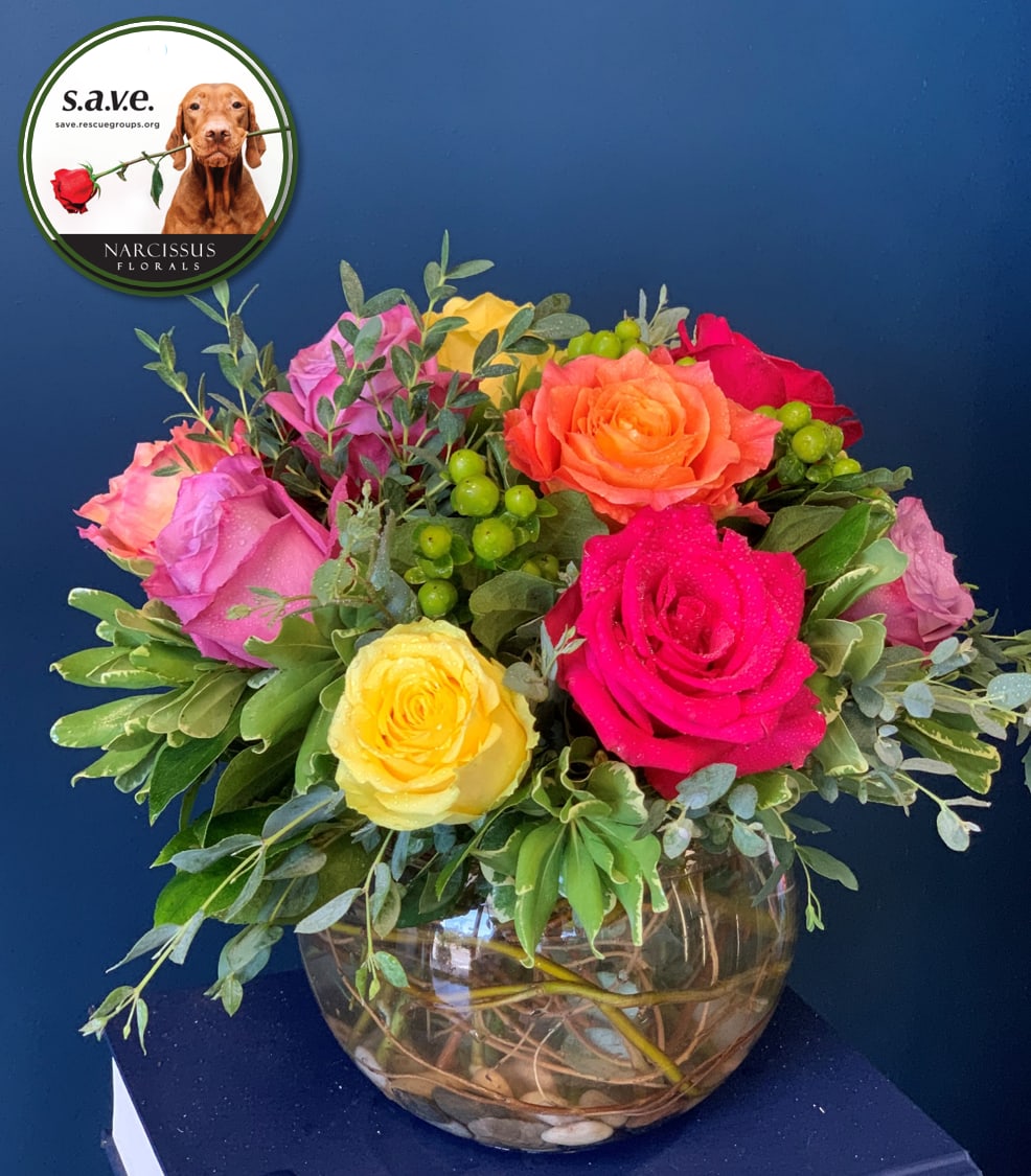 S.A.V.E. A PET - Give a gift that gives back with SAVE a Pet. This elegant rose bowl arrangement supports S.A.V.E. Rescue Center, helping animals in need. A heartfelt gesture for any occasion, this design combines beauty with compassion.
