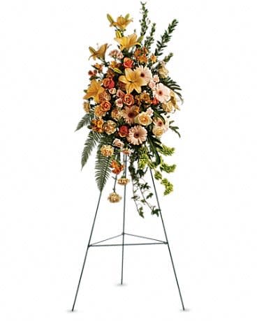  Remembrance Spray - The flowing, improvisational feeling expressed by this beautiful spray of pastel flowers is like an outpouring of love. It will be long-remembered. The striking bouquet includes peach roses, orange bi-color roses, peach spray roses, peach asiatic lilies, orange alstroemeria, peach carnations and bells of Ireland, accented with assorted greenery.