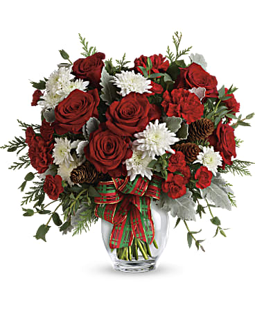 Holiday Shine Bouquet - Give the gift of holiday style with this mix of Christmas crimson and winter white blooms, all wrapped up with a festive plaid ribbon in a classic ginger jar. This bold bouquet includes red carnations, red miniature carnations, white cushion spray chrysanthemums, flat cedar, noble fir, dusty miller, parvifolia eucalyptus, small pinecones and wired ribbon. Delivered in Teleflora's glass ginger jar. Orientation: One-Sided  SUBSTITUTION POLICY – Always deliver the freshest flowers! Please note the bouquet pictured reflects our original design.  If the exact flowers or container in this arrangement are not available, our local florists will create a beautiful bouquet with the freshest available flowers.