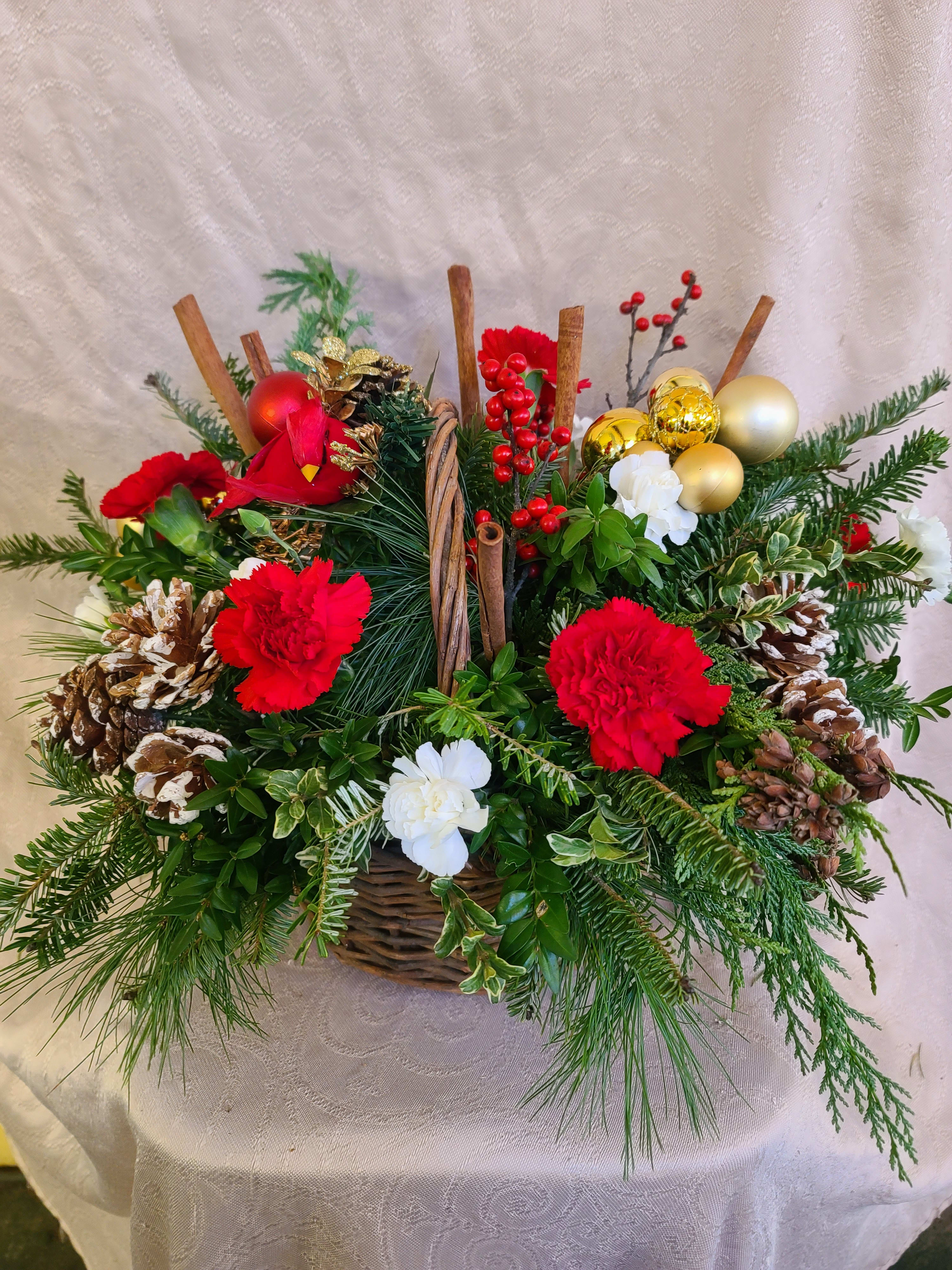 Cinnamon and Spice - A rustic basket filled with winter greens, cinnamon sticks, and assorted carnations. Cones, berries add texture, while a few well-chosen baubles add some sparkle. Traditional colors shown, but we can design a custom look for you as well. NOTE: image is a sample, but each basket is made to order and will be unique. We can also design in your own container, so call the shop for custom work.