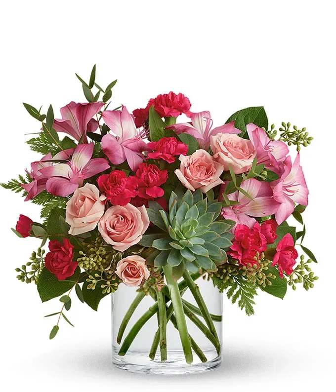 Pink Rose Succulent Garden - Her smile will light up the whole room as she is surprised with a lush garden of pink blooms and a succulent plant in a low cylinder vase. This Valentine's Day, or any day, remind her that your passion knows no bounds with a delicate mixed bouquet of stunning fuchsia, and blush tones. Please note that full size roses are only included in Deluxe and Premium sizes.  Includes: • Pink Mini Roses • Pink Alstroemeria • Pink Mini Carnations • Succulent Plant • Hot Pink Roses (Deluxe &amp; Premium) • Personal Card Message • Clear Cylinder Vase