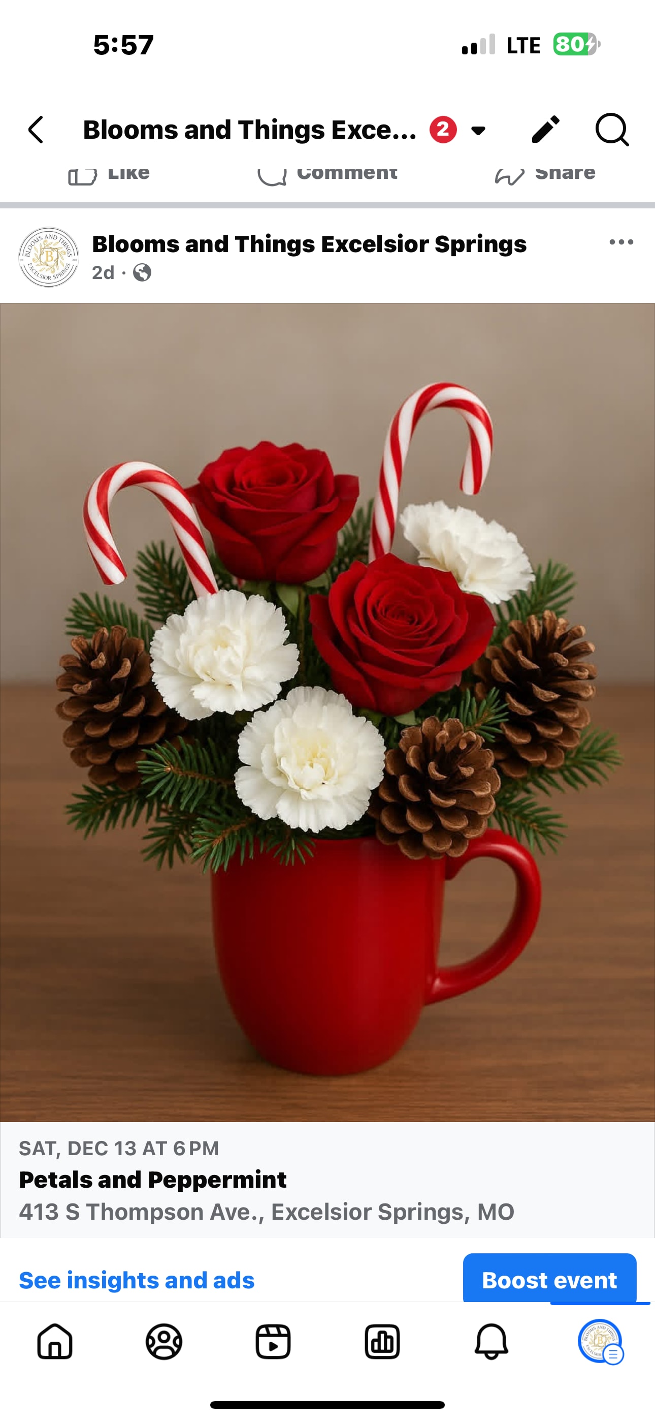 Petals and Peppermint  - Create Christmas Bouquet Workshop Dec 13th