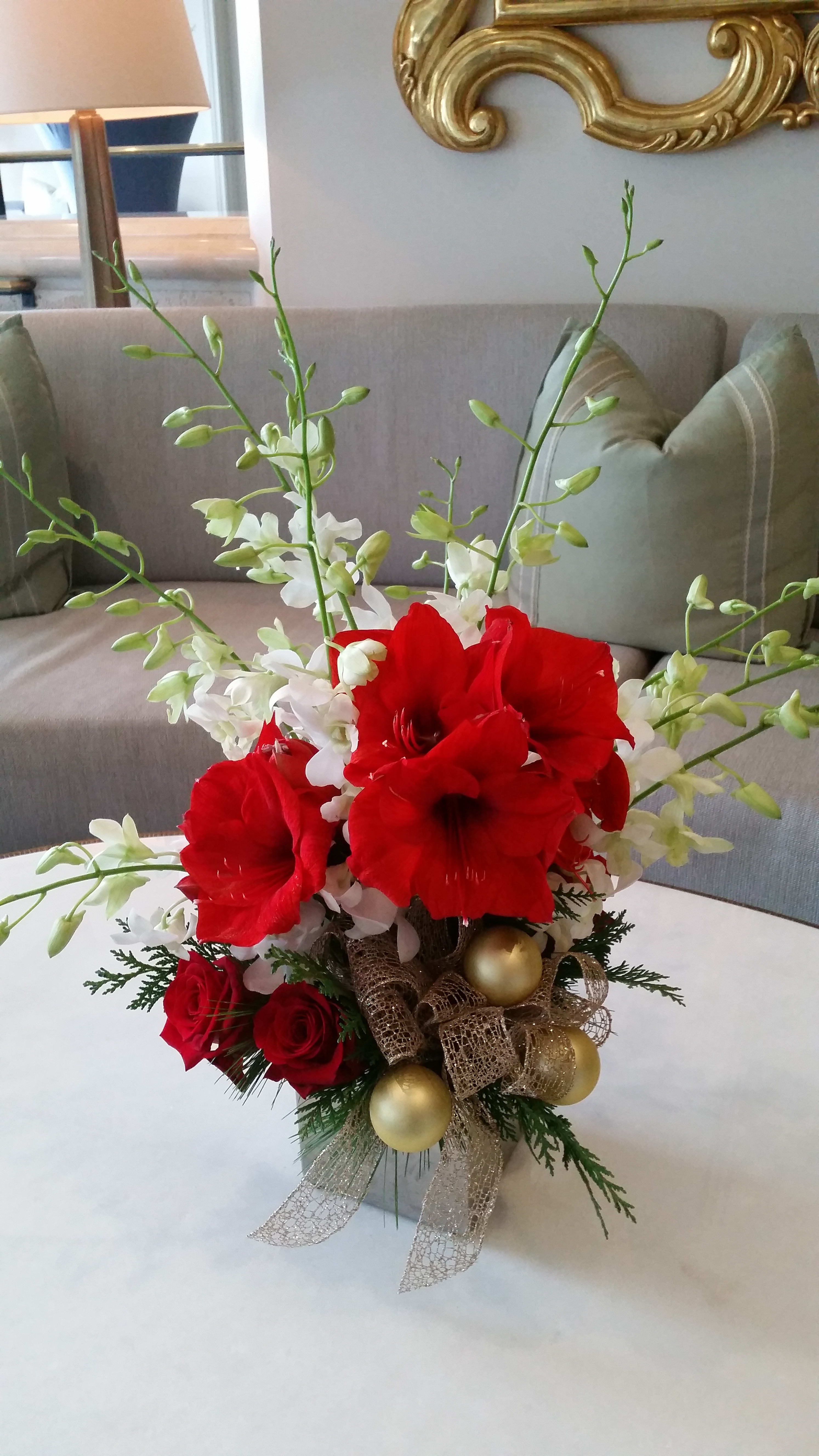Christmas Cheer - An elegant Christmas arrangement with fresh cut amaryllis &amp; dendrobium orchids.