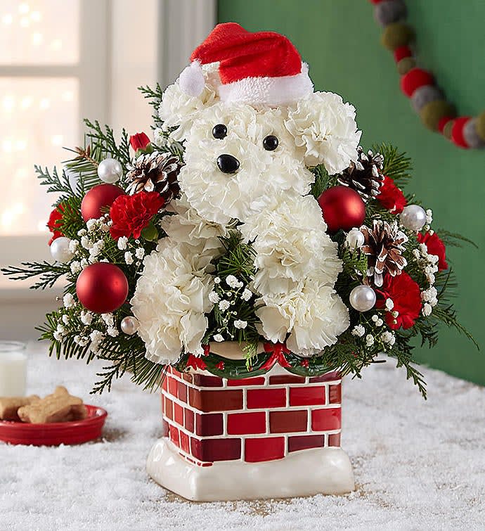 Santa Paws - Santa Paws™ EXCLUSIVE Who’s that doggie with the holiday spirit? It’s our very own Santa Paws™! Hand-crafted from a mix of long-lasting blooms, our customer fave pup comes decked out in a festive red Santa hat. Perched inside a playful red tin that looks just like jolly Old Saint Nick’s belt, this adorable little guy is ready to unleash a whole lot of smiles. Read More