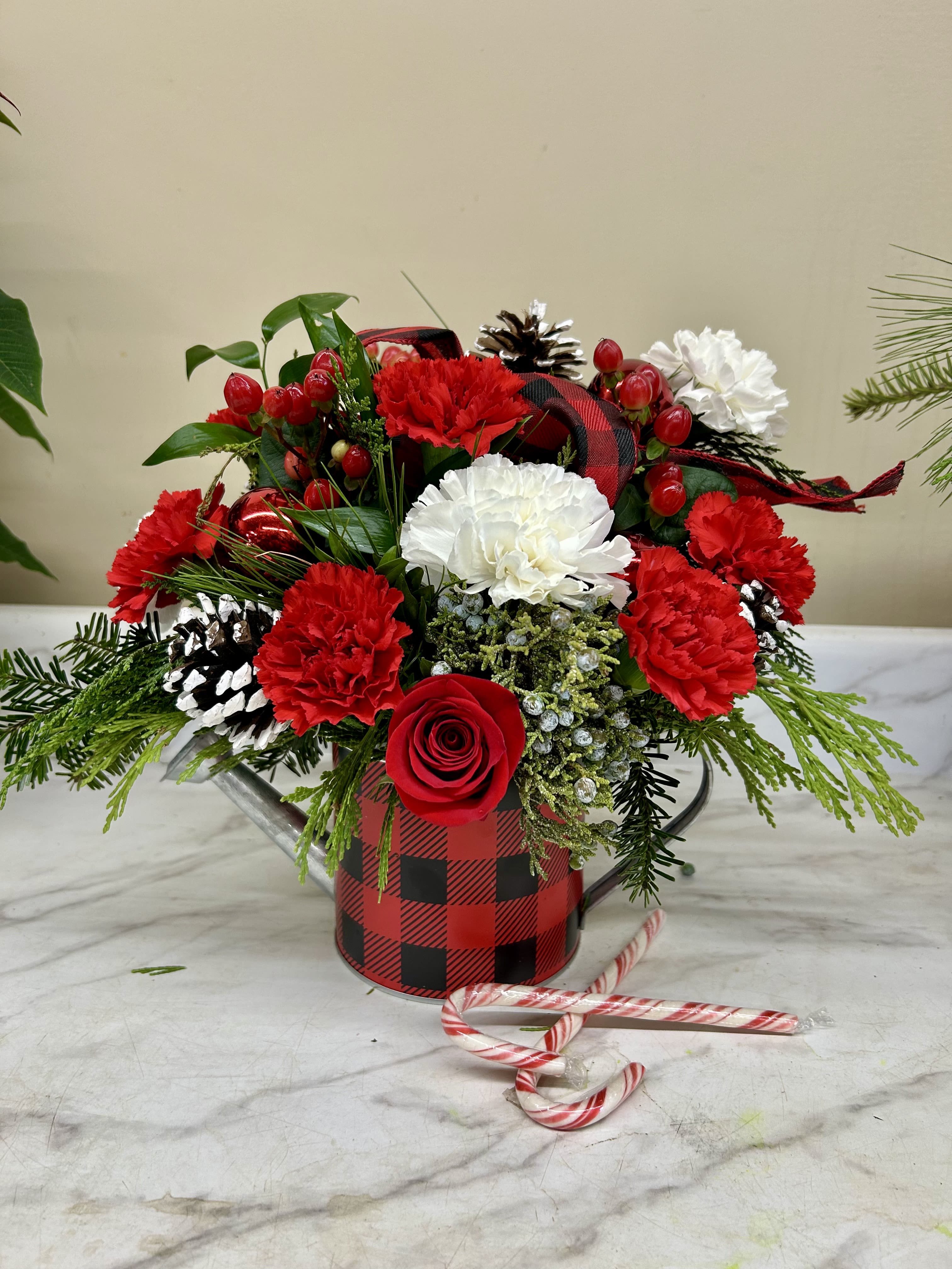 Watering can for Christmas, red and white - Mixed Christmas greens with red and white flowers and a decorative watering can