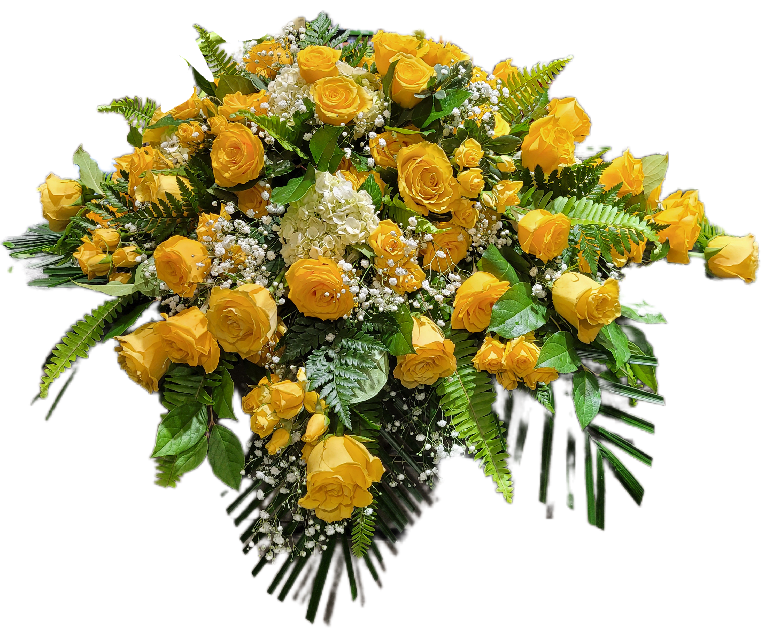 Bathed in sunshine - A waterfall of yellow roses that drapes over a closed casket. 