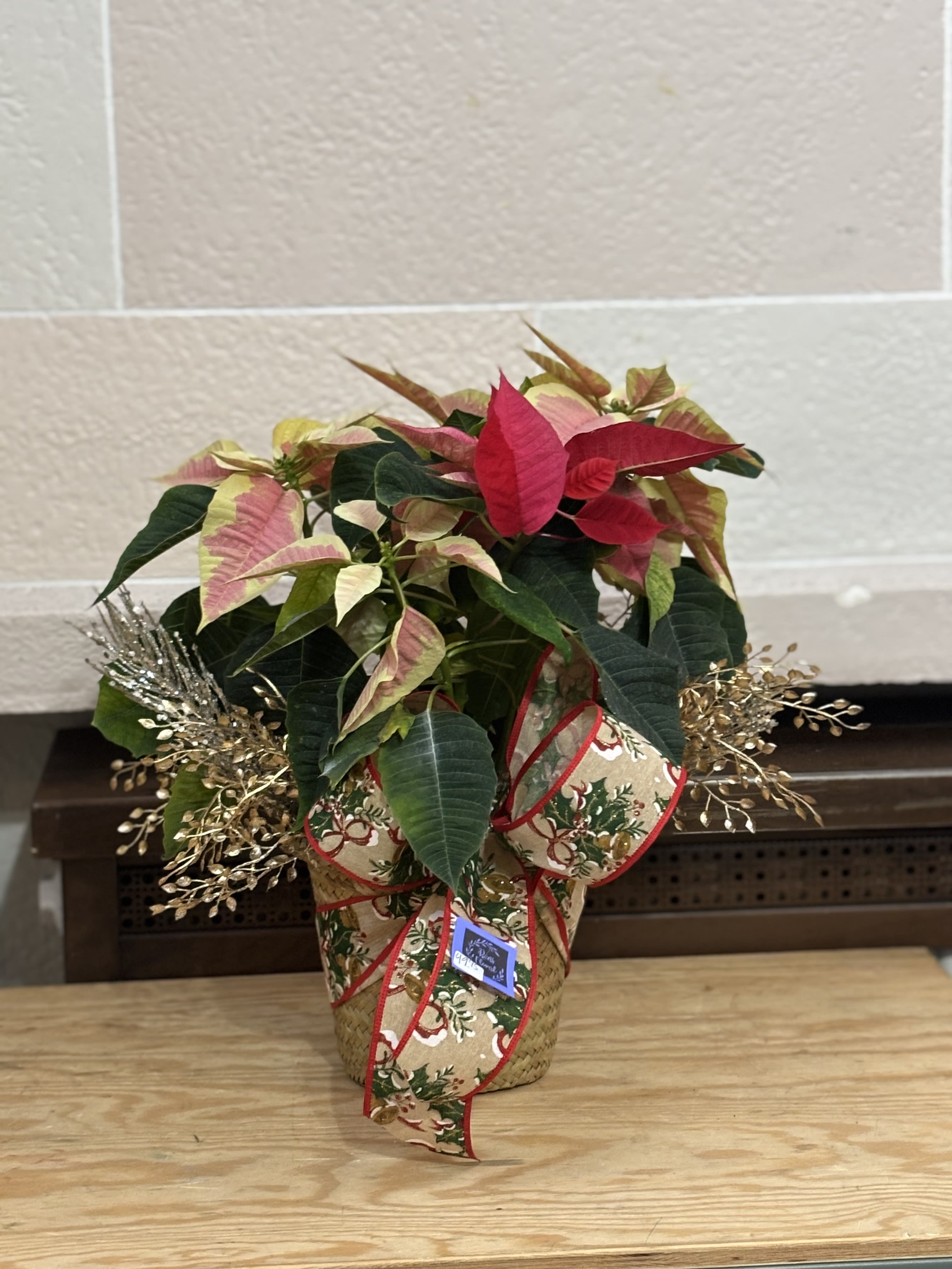 Gold Leaf Poinsettia  - A 6&quot; poinsettia with artificial gold leaves added. 