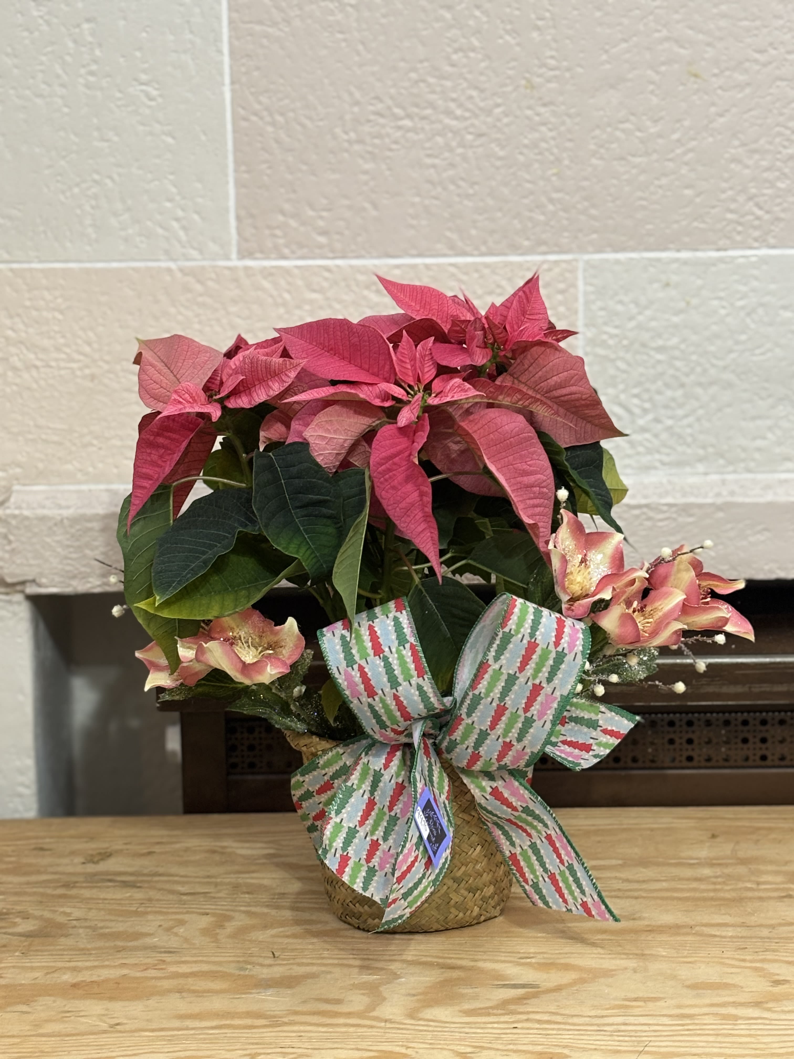 Pink Glitter Poinsettia - A 6&quot; poinsettia with pink, glittery flowers added. 