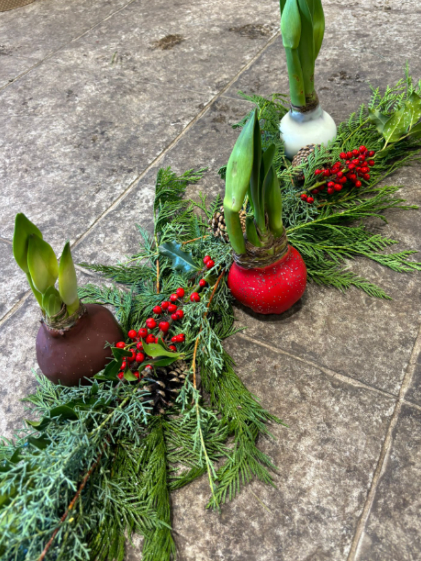Winter 22 - A fresh holiday garland featuring three wax amaryllis bulbs accented with seasonal evergreens, cedar, pinecones, and red berries. Perfect for adding a natural and festive touch to any table or entryway.