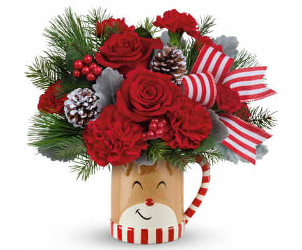 Send A Hug - Send A Hug Spread warmth and holiday cheer with Teleflora’s Send A Hug® Bouquet. This festive arrangement features classic red roses, vibrant red carnations, charming miniature red carnations, and soft dusty miller, all accented with lush seasonal greenery. It’s beautifully presented in Teleflora’s exclusive Send a Hug® Reindeer Wish Mug, making it a delightful gift that brings comfort and joy to any recipient. Perfect for holidays, winter celebrations, or simply to show someone you care.