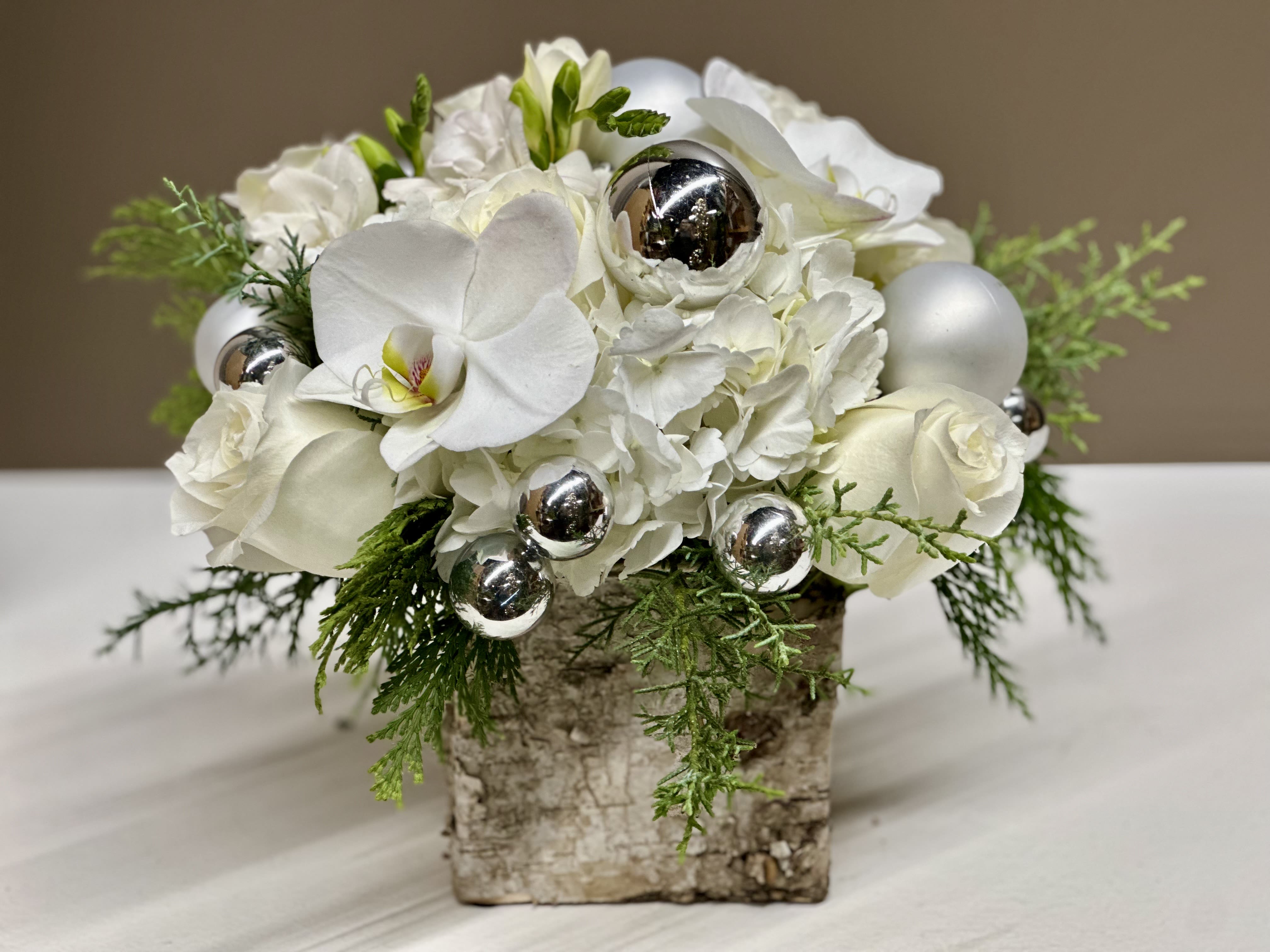 Silvery Moon - This arrangement brings together luxurious White blooms and soft seasonal textures. White Phalaenopsis Orchid blossoms create a graceful focal point, paired with lush White Hydrangea and velvety Cream Roses. Nestled throughout are sprigs of fresh evergreen foliage, adding depth and a hint of woodland charm. Accents of Silver and Pearl ornaments lend a festive, luminous sparkle. The entire composition is presented in a rustic Birch bark box. Perfect as a holiday centerpiece or an elegant winter gift, this arrangement captures the quiet magic of the season in a refined, timeless style.