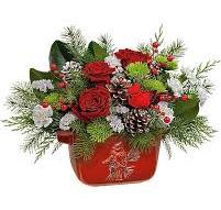 Cardinals fan keepsake - what a great gift for that cardinal fan, a stonewear red container with a cardinal design filled with pine, red and white seasonal flowers to use while cheering on the home team