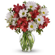 Dancing with Daisies - A bright statement of your feelings.  Brilliant red carnations peeking out of a mass of white daisies.  