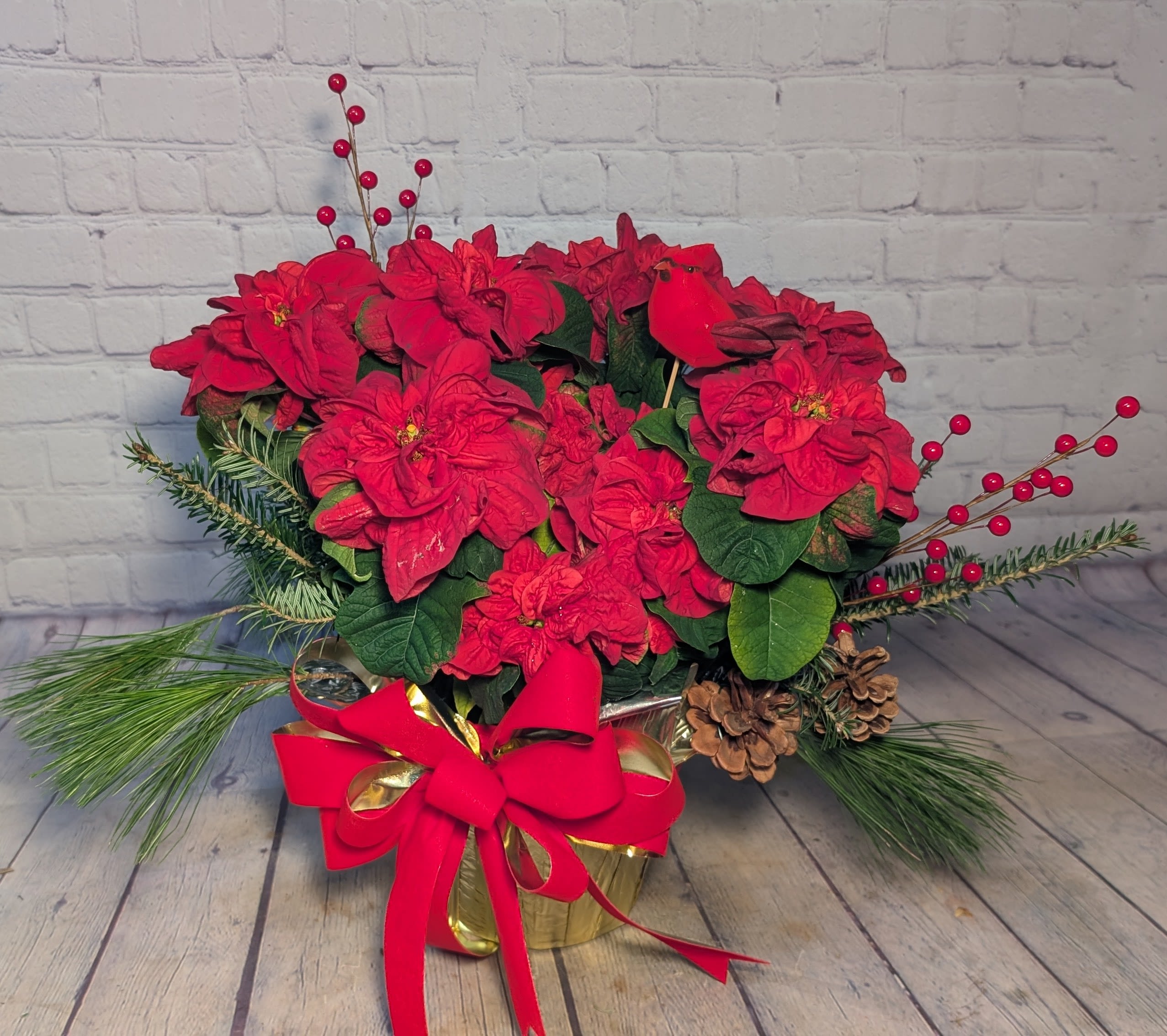 Winterberry - Celebrate the season with Winterberry, a charming holiday accent that’s perfect for gifting or brightening any cozy corner. This piece features a single Rose Poinsettia, known for its uniquely curled, rose-like blooms, wrapped in shimmering gold foil for an elegant touch. It’s beautifully accented with fragrant fresh pine, a cheerful cardinal pick, vibrant red berries, natural pinecones, and a festive holiday bow. Simple, sweet, and full of seasonal charm, Winterberry brings a pop of Christmas cheer wherever it’s placed.