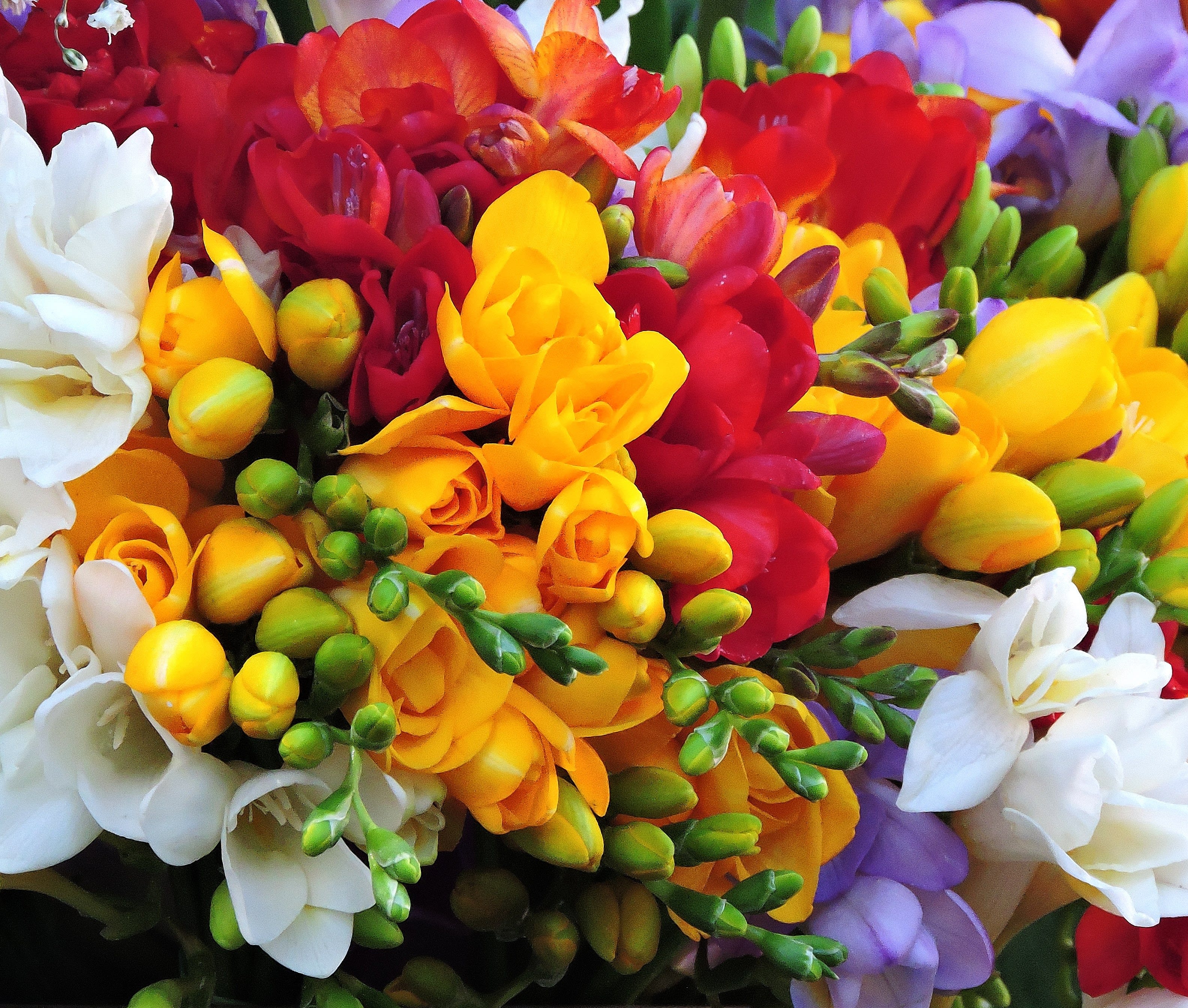 Colorful Bouquets (Designer Original) - Petals &amp; Blooms Flowers will create a stunningly beautiful, custom, original floral design utilizing bright and beautiful colors for your recipient. These arrangements are definitely, a made to order arrangement specific to every customer that will share happiness with your recipient. All bouquets are original and designed to order and vary and differ in the colorful flowers selected. **NOTE** Each arrangement is original per client order and will vary in design and flowers used. Flowers selected are based on seasonality and designer will choose the flowers, vase/vessel for the product. Pricing is based on the volume of flowers incorporated within the design.