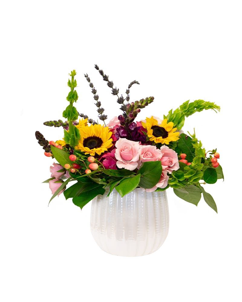 Sun-sational - Radiate warmth and joy with this vibrant floral arrangement featuring bold sunflowers, soft pink roses, and playful pops of berry accents. Presented in a classic white textured vase, it's a stunning centerpiece that brings sunshine to any room.
