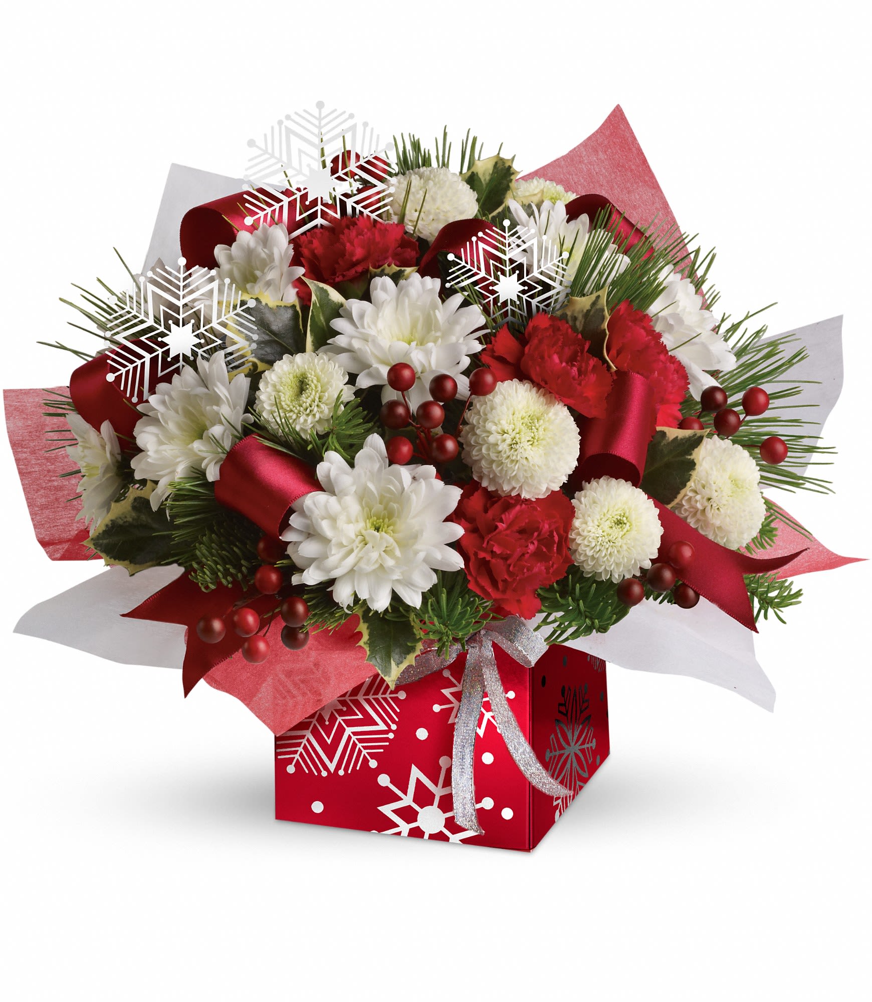 Teleflora's Winter Snowflake Present Perfect - The charming holiday bouquet includes red miniature carnations, white cushion spray chrysanthemums, white button spray chrysanthemums, noble fir, white pine and variegated holly accented with white ribbon. Approximately 14" W x 12 1/4" H.  T11X600A  
