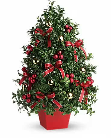 Deck The Halls Tree - Don't let a lack of space dampen your spirits! This "tree" made of holiday greens, festive ornaments and ribbon will deck anyone's halls in style! 