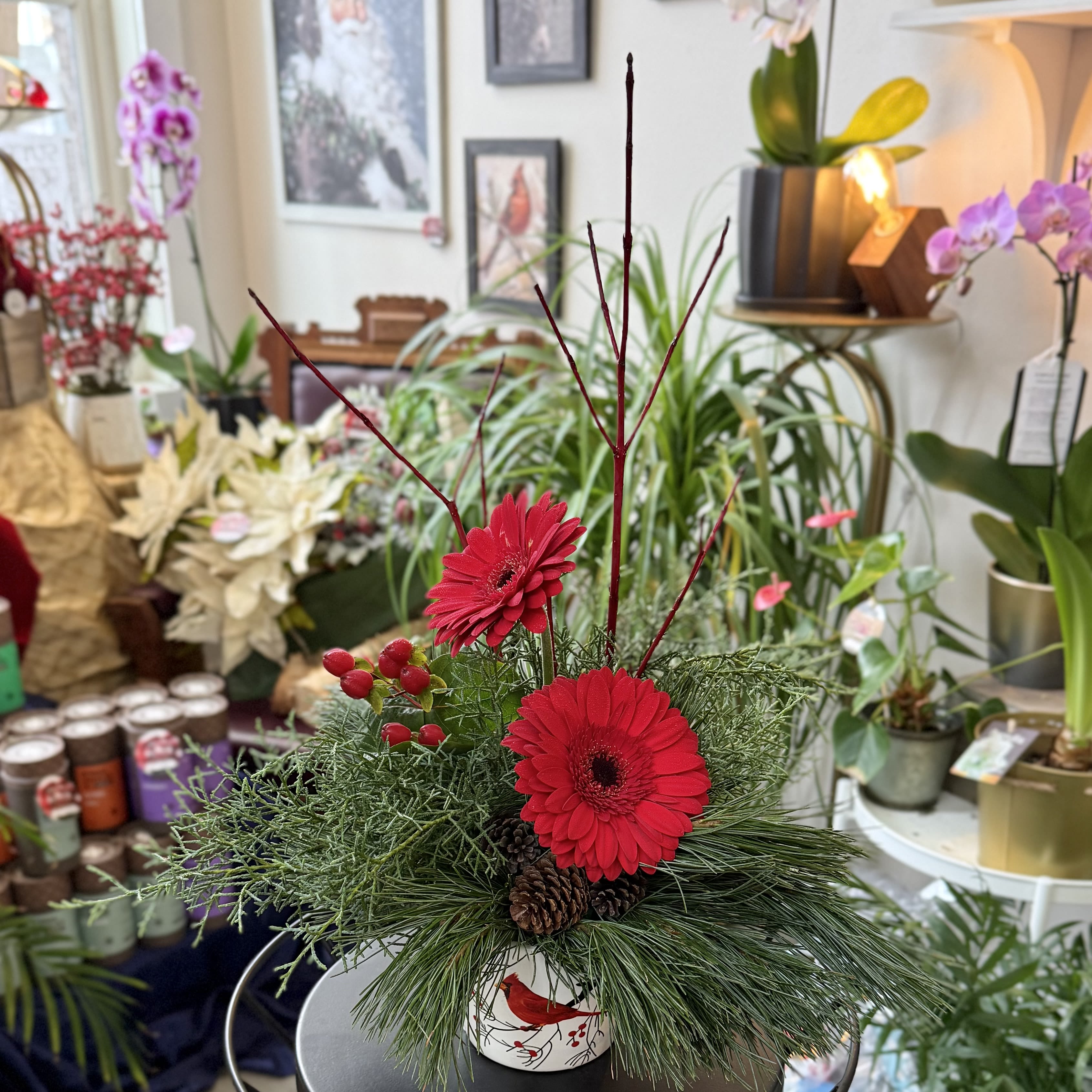 Winter Song - A lovely cardinal pot filled with evergreens, red dogwood and berries and featuring glorious Minnesota-grown Gerbera daisies.