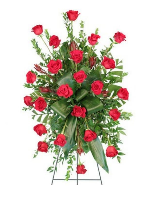 Crimson Departure Easel - Gracefully presented on a 54" easel, this striking sympathy arrangement showcases a large wet floral foam cage that ensures the freshness of its vibrant blooms. The arrangement features an elegant combination of foliage, including lush myrtle, bold aspidistra, whimsical teepee, and glossy salal, creating a rich green canvas that enhances the overall beauty. At its heart, a stunning focal point of 24 radiant red roses exudes warmth and love, symbolizing deep respect and heartfelt condolences. Adding a unique touch, five Safari Sunset leucadendron gracefully punctuate the arrangement, their fiery hues contrasting beautifully with the red roses. This powerful ensemble serves as a moving tribute, embodying both compassion and remembrance during times of loss.