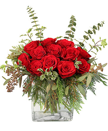 winter roses - beautiful combination of red roses and winter greens