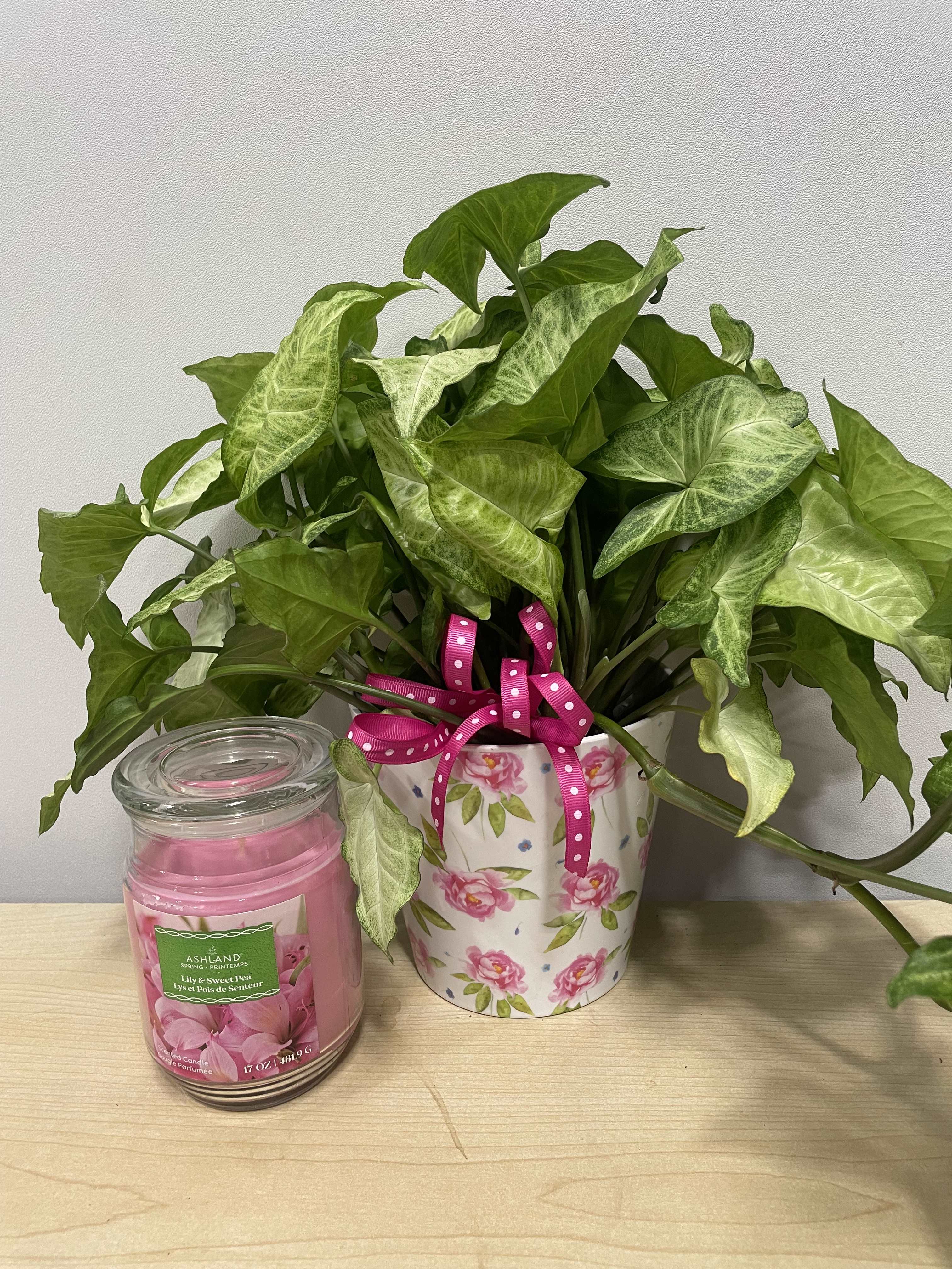 Rosy Planter &amp; Candle - As shown 