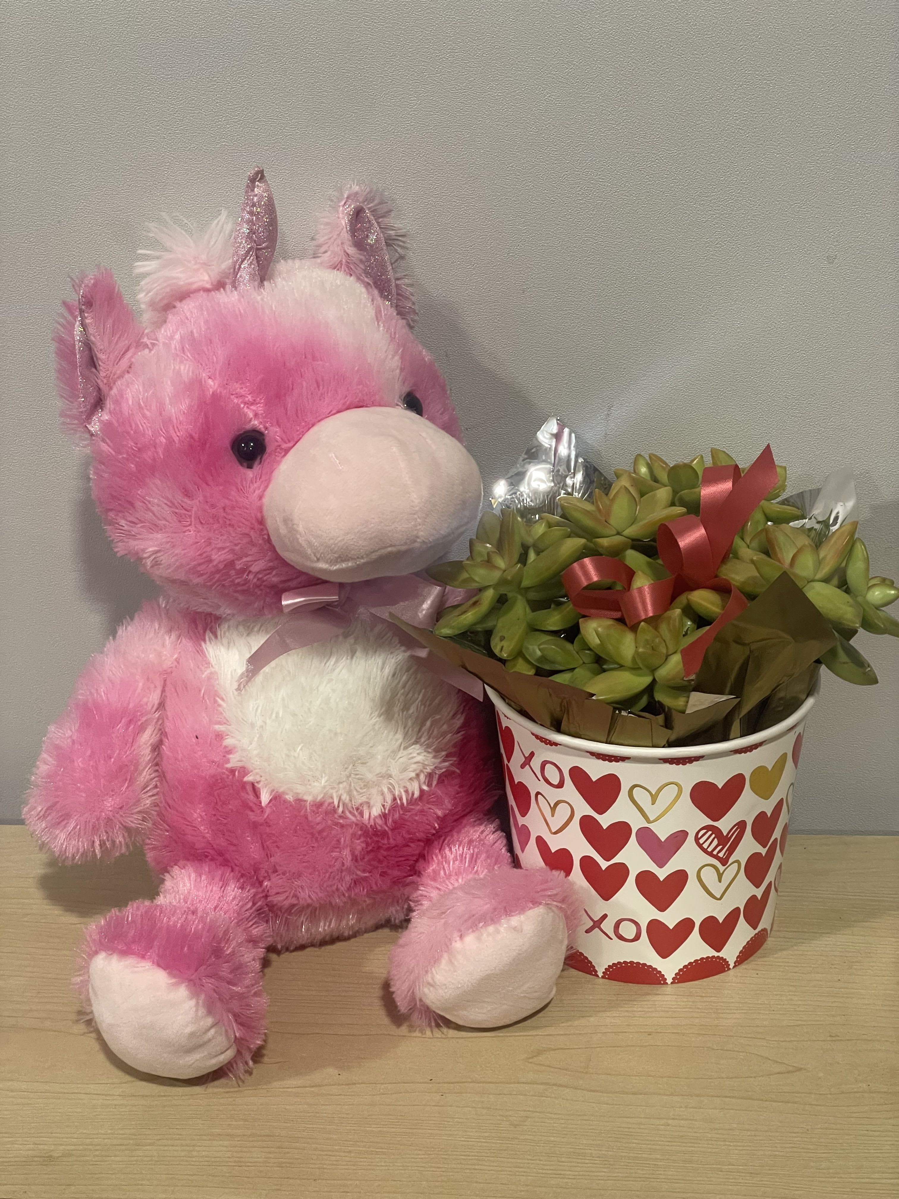 Pink Unicorn &amp; Succulents  - As shown 