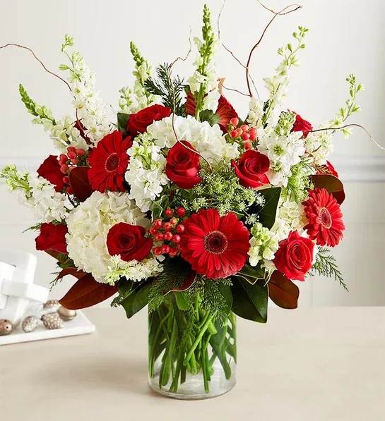 Christmas Blessings - All-around arrangement with white hydrangeas, larkspur, snapdragons, Queen Anne’s lace and stock; red roses, Gerbera daisies and hypericum; accented with curly willow, magnolia tips and assorted Christmas greenery Artistically designed in a clear glass cylinder vase; measures 8&quot;H Large arrangement measures approximately 22&quot;H x 16&quot;W Medium arrangement measures approximately 21&quot;H x 15&quot;W Small arrangement measures approximately 20&quot;H x 14&quot;W Arrangement dimensions do not include curly willow Our florists select the freshest flowers available, so colors, varieties and container may vary due to local availability