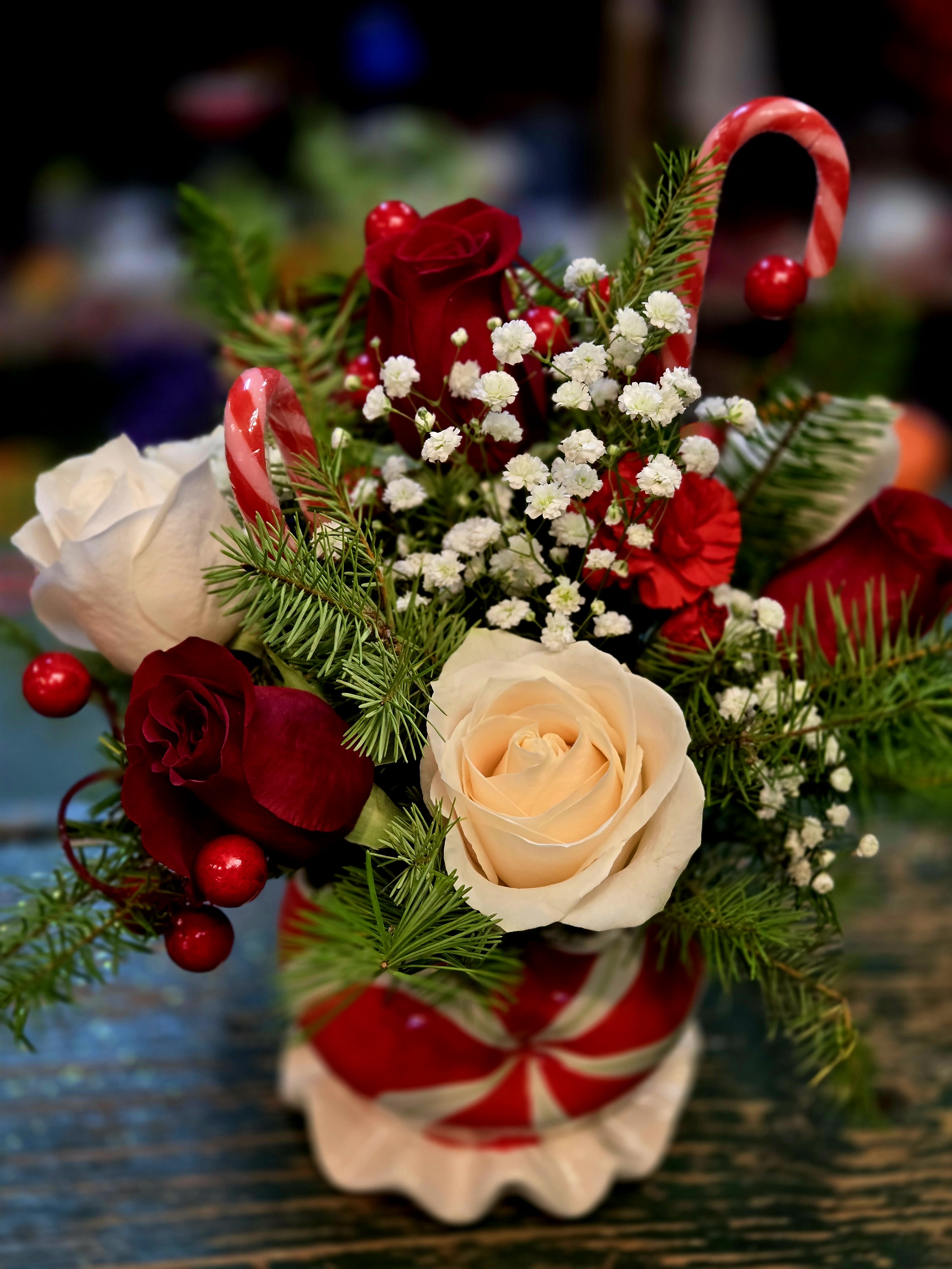 Peppermint Twist  - Beautiful fresh red and white roses designed with winter greens and created in a peppermint ceramic container 