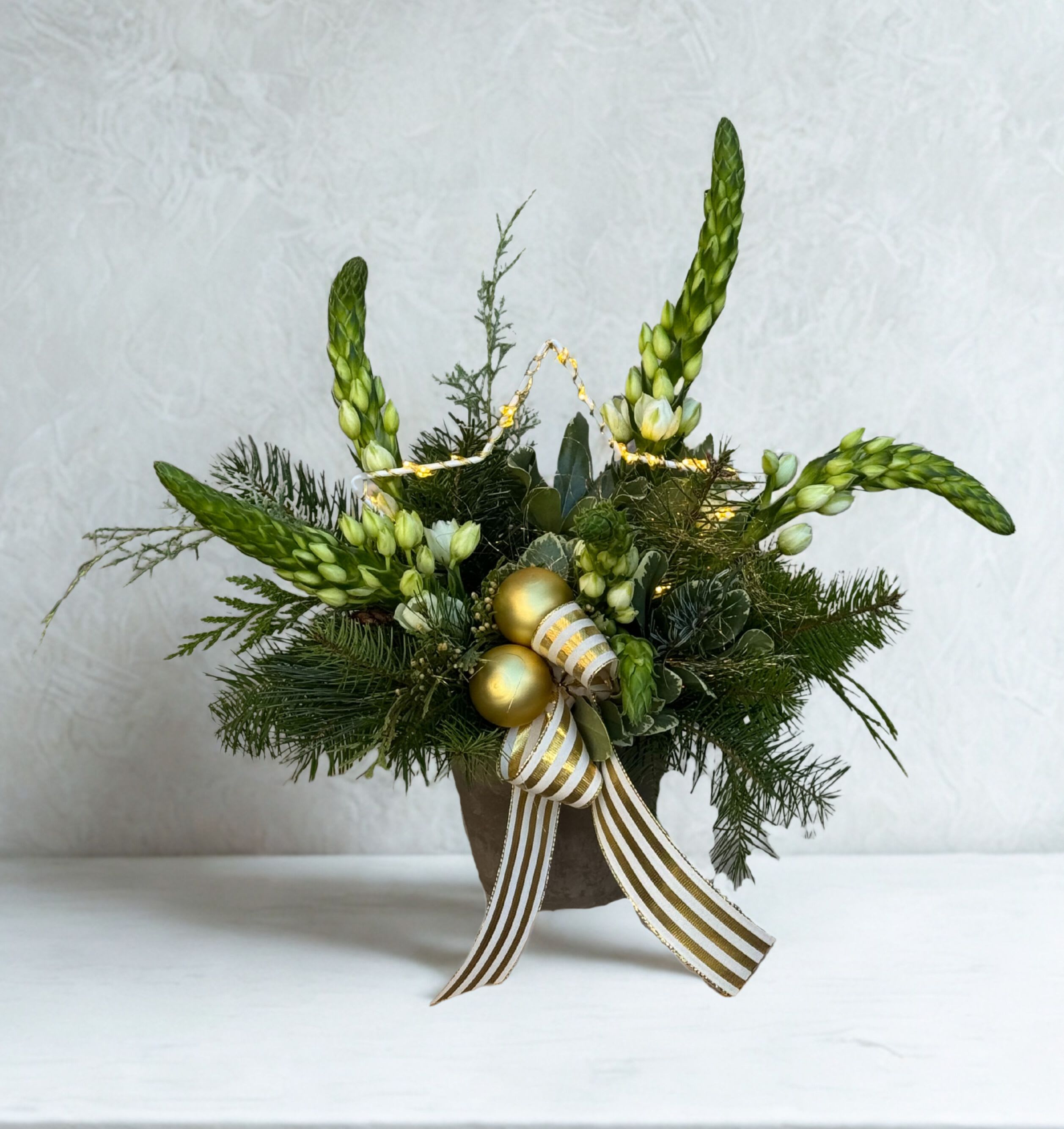 Shinning Star - A festive mix of fresh evergreens and Dubium (also called the Star of Bethelhem), accented with warm twinkle lights, golden ornaments, and a flowing gold-striped ribbon. This elegant design brings a soft glow and seasonal charm to any holiday space.