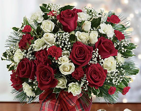 Grand Christmas Rose Symphony - Celebrate the season in grand style with our Grand Christmas Rose Symphony. This luxurious holiday arrangement features an abundant blend of deep red roses, creamy white roses, festive carnations, baby’s breath, holly, and winter greens — all beautifully designed with a classic Christmas ribbon.  Perfect as a show-stopping centerpiece, a premium holiday gift, or elegant décor for entryways, offices, and family gatherings. Full, lush, and timeless — this design brings the magic of Christmas to any space.