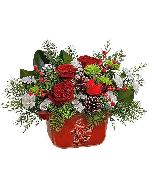Teleflora's Classic Cardinal Centerpiece - ull of nostalgia, this hand-painted, food-safe stoneware bowl with classic cardinal motif is the perfect thing for serving up a bouquet of Christmas blooms. This bouquet includes red roses, miniature white carnations, green cushion spray chrysanthemums, white sinuata statice, cedar, magnolia leaves and douglas fir. Delivered in a Classic Cardinal Bowl.