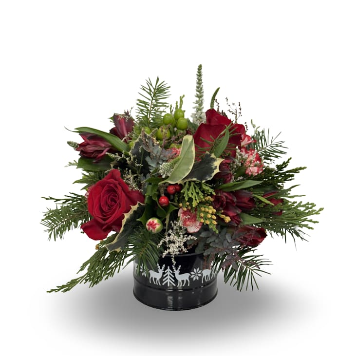Reindeer Forest - A cozy holiday arrangement featuring rich red roses, seasonal greenery, and festive berry accents, all styled in a charming metal container with woodland details. Measuring approximately 9″ H 8″ W 8″ D, this compact design is perfect for desks, side tables, or gifting a touch of winter cheer.