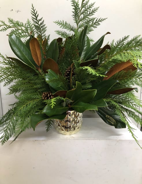 Magnolia Magic - Magnolia branches among winter greenery in a gld vase