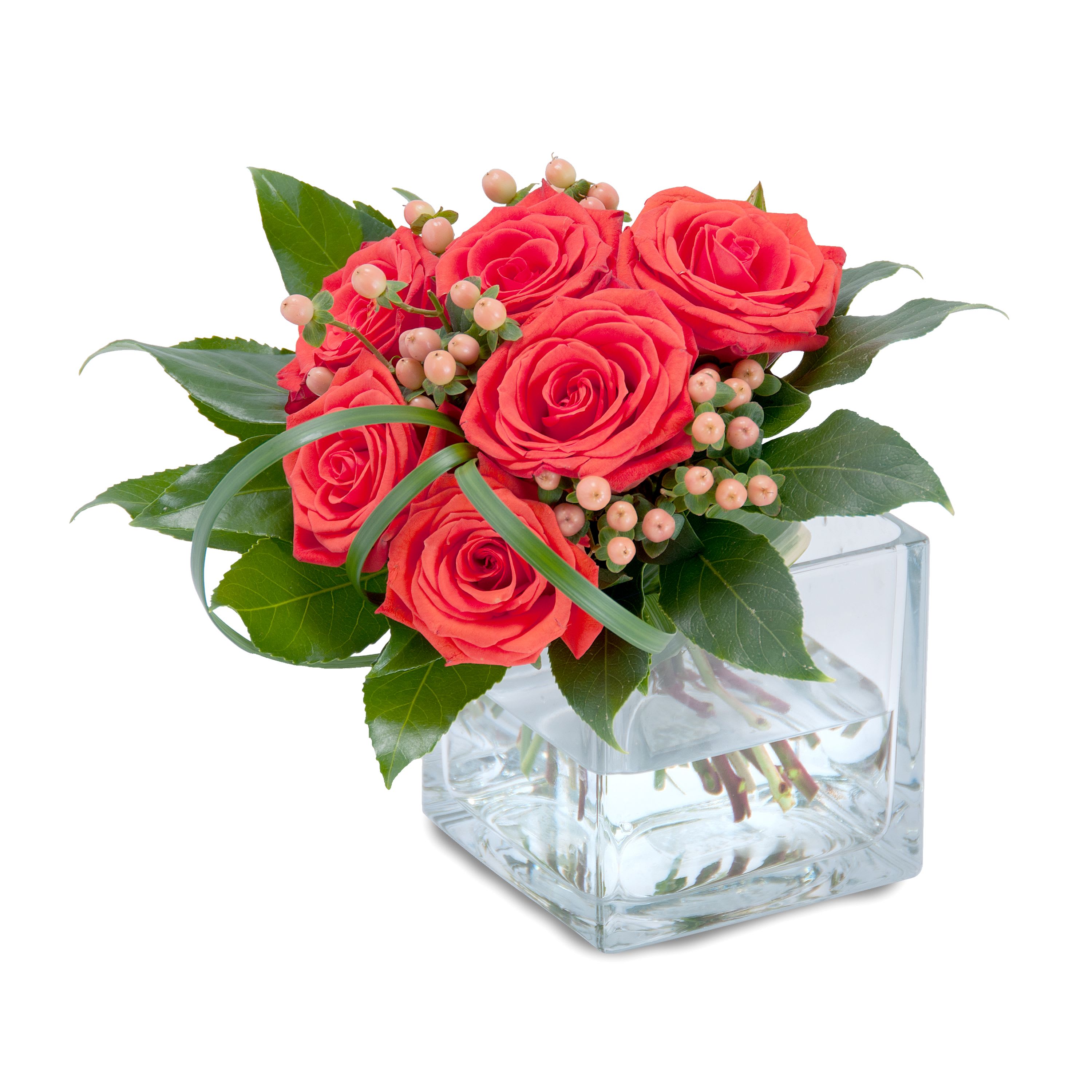 6 hand tied roses contemporary styling in a glass cube  colors can vary - 6 handtied roses contemporary styling   can be done in a variety or colors