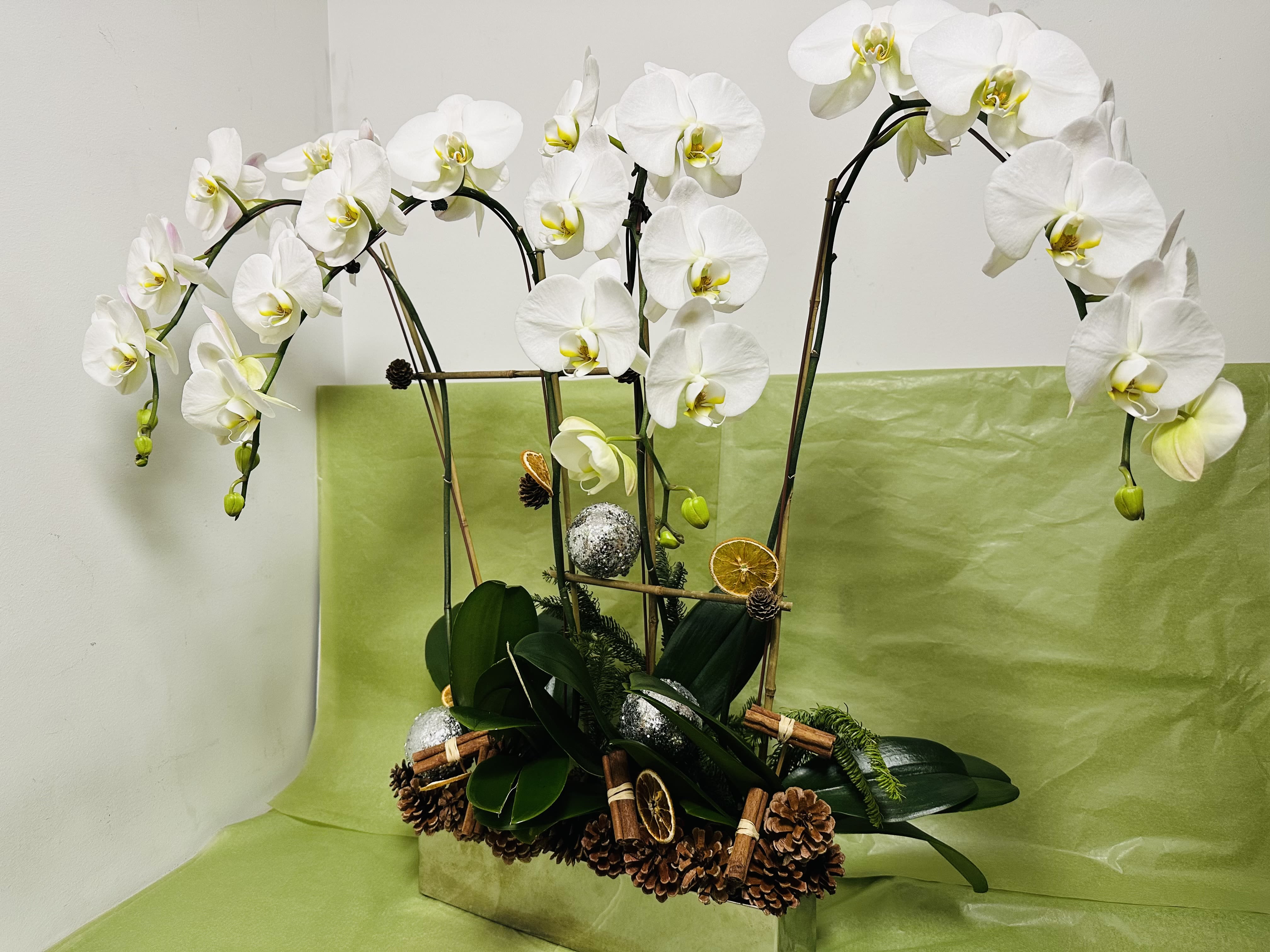 CINNAMON ORCHID WHITE  - 4 orchid whites in silver long vase  beautiful Christmas gift 