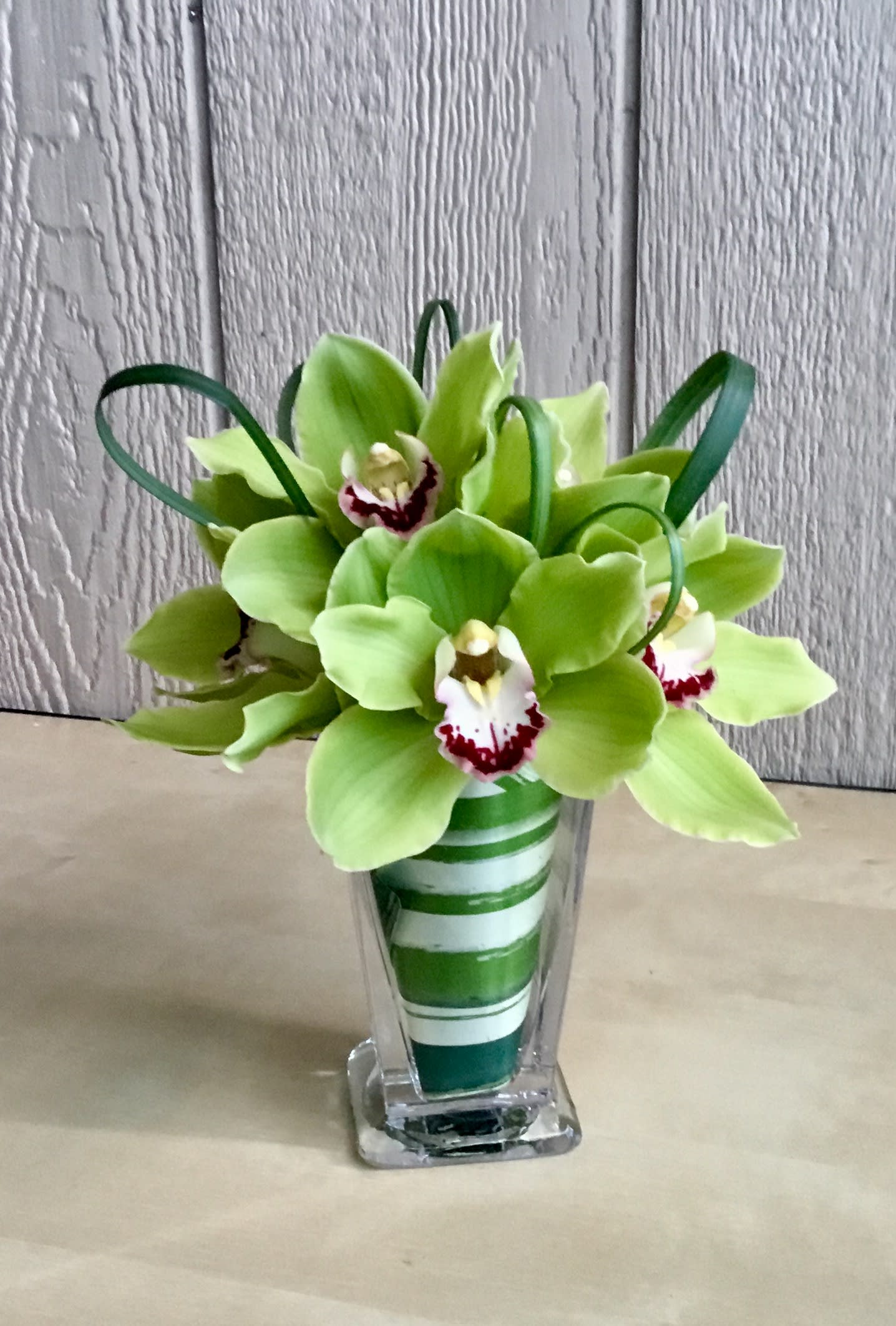 Shakespeare in Love - 7 Green, yellow, pink or orange  cymbidium orchids 