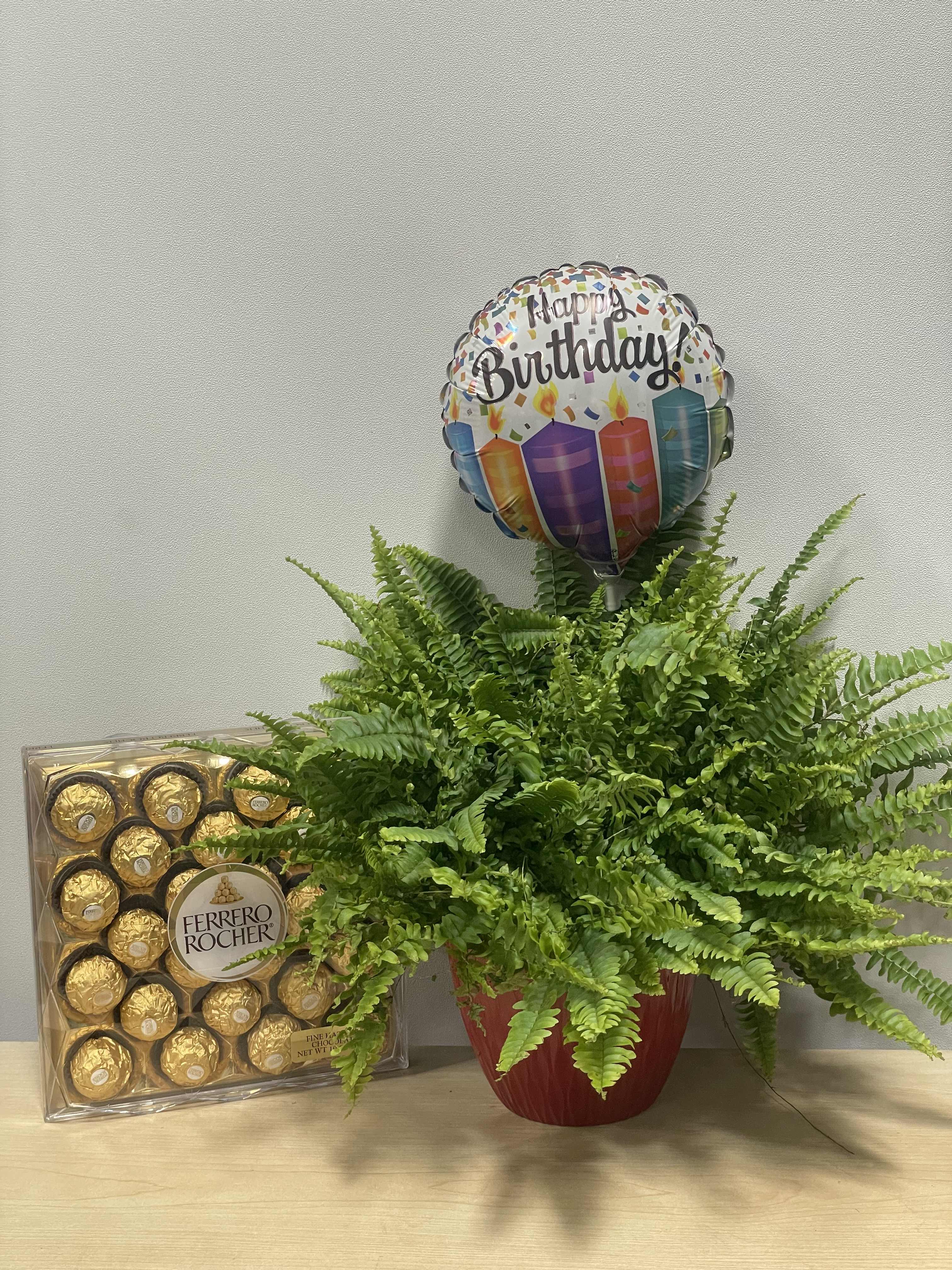 Birthday Fern &amp; Chocolates Trio - As shown 