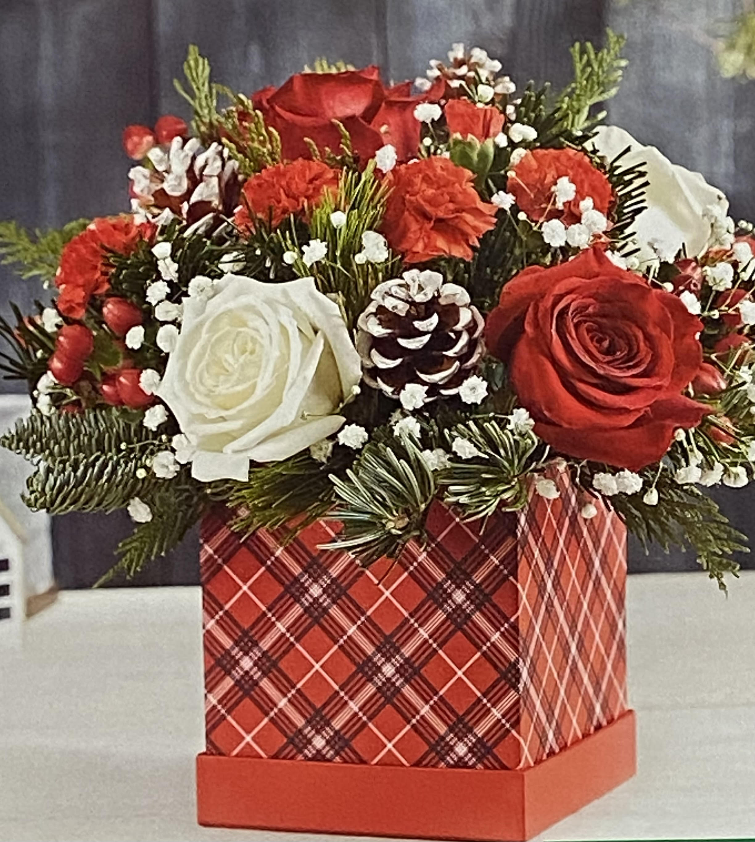 Christmas in a Gift Box - Holiday Cheer in water-resistant gift box. Bring in the holidays with this joyfull little box full of blooms. Red &amp; White Roses, mini carnations and holiday cheer greens adorn the festive box that your recipient can repurpose. 