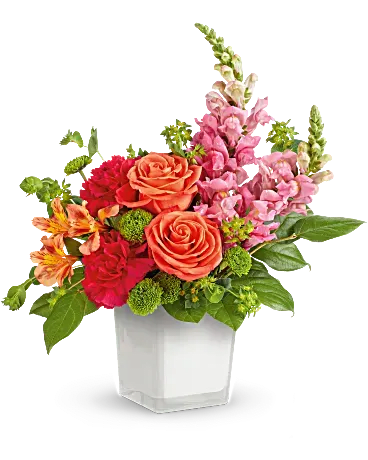 Citrus Sunset - Fresh and full of energy, glowing with vibrant blooms, artfully arranged in a classic white cube. Bursting with bold color and modern style, it's the perfect pick-me-up for any occasion! This bouquet features orange roses, alstroemeria, hot pink carnations, snapdragons, green button spray chrysanthemums, bupleurum, and salal. A stunning celebration of color and joy. Orientation: All-Around