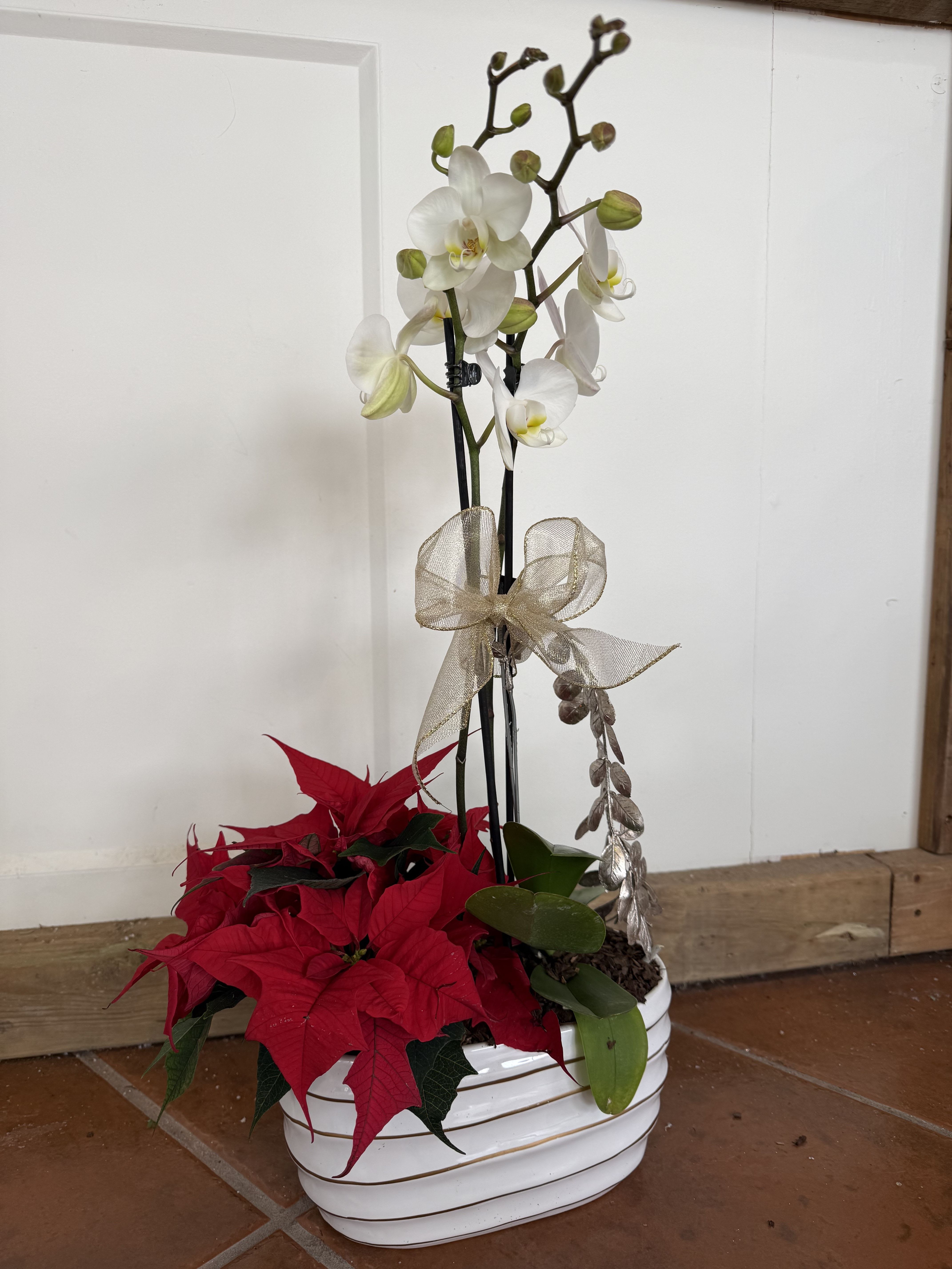 Christmas Elegance Planter - This Christmas Elegance planter is sure to bring elegance to your holidays with its beautiful white orchid and classic Christmas red poinsettia. Completed with a beautiful white and gold accented container.
