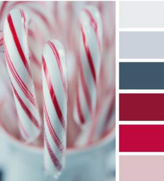 Holiday Color Palette: Seasonal Bouquet - A delightful display of the season's best flowers and textures in the holiday color palette shown.