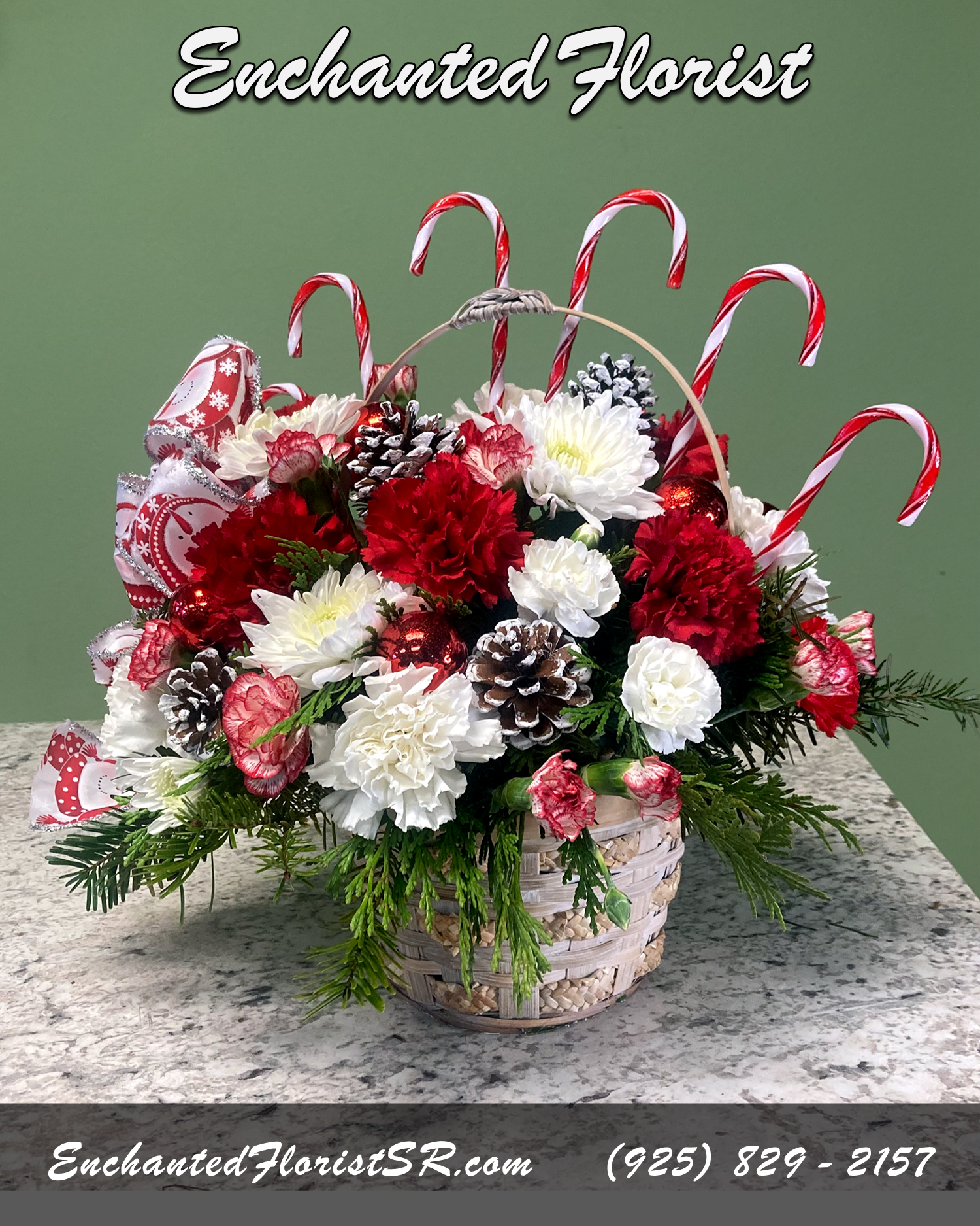 Candy Cane Lane - Holiday Arrangement - Candy Cane Lane is a holiday flower basket that features festive white 'Cushion' Mums and classic red Carnations. Accented with lush Christmas greens and adorned with red holiday ornaments and playful plastic candy canes. This joyful ensemble arrives in a charming white wicker handbasket. Spread holiday cheer with this delightful mix of blooms and seasonal embellishments, perfect for gifting or enhancing your festive decor.  Arrives In: 1 white wicker basket with handle  Orientation: Any-Sided  Approximate Dimensions: Height: 10" Width: 14" Basket Diameter: 6"