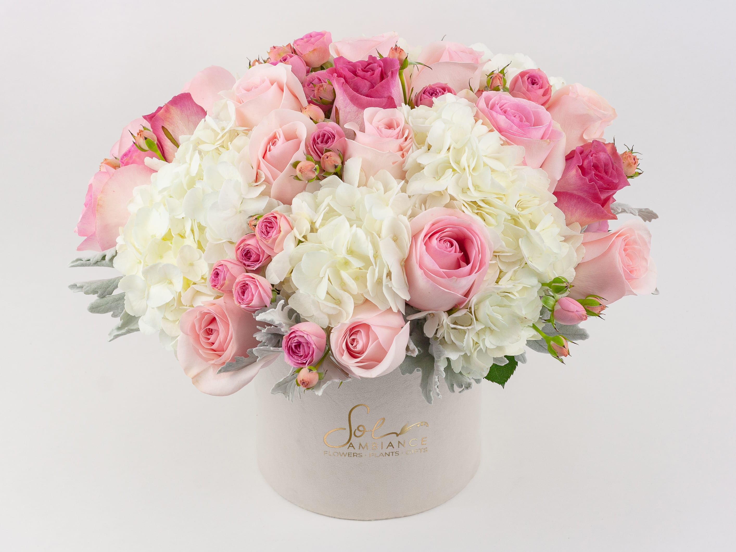 Pretty in Pink - PASTEL PINK AND WHITE FLOWERS IN LOGO BOX  Pretty and feminine. A sublime pastel pink and white flower arrangement featuring a mass of stunning pink roses and fresh white hydrangea. Presented in our signature logo box and accented with silver Dusty Miller foliage, this design is soft, dainty and so, so gorgeous. These flowers are perfect for people who are romantics at heart and love all things pretty.  Send this gift box of pink and white flowers to celebrate a birthday, special anniversary or newborn baby. Or wish someone a get well soon. It’s the perfect ‘just because’ gift idea and also makes a lovely sympathy flower gesture.  Why not add a greeting card, bunch of local dried lavender or quality handmade candle to match the occasion or personality?  Pretty in Pink features: ·        White hydrangea ·        Bi-color cream and pink Malibu roses ·        Light pink Novia roses ·        Silver Dusty Miller foliage ·        Signature Sol Ambiance ivory logo box  SIZE: The STANDARD flower arrangement is approximately 14” height and 14” width.   ALLERGY ADVICE: This design has low pollen and a low fragrance.  