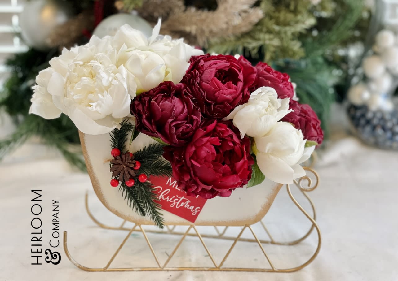 Christmas peonies in OC flower arrangment - Nestled in a charming white sleigh, this delightful ensemble features the timeless allure of peonies and garden roses, creating a winter wonderland of floral splendor. The rich hues and velvety petals embody the spirit of the holidays, making it a perfect centerpiece or a thoughtful gift. Let the magic of this arrangement add a touch of festive joy to your home or the heart of someone special this holiday season.